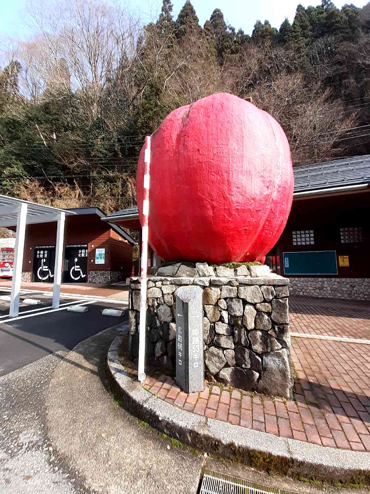 投稿された画像