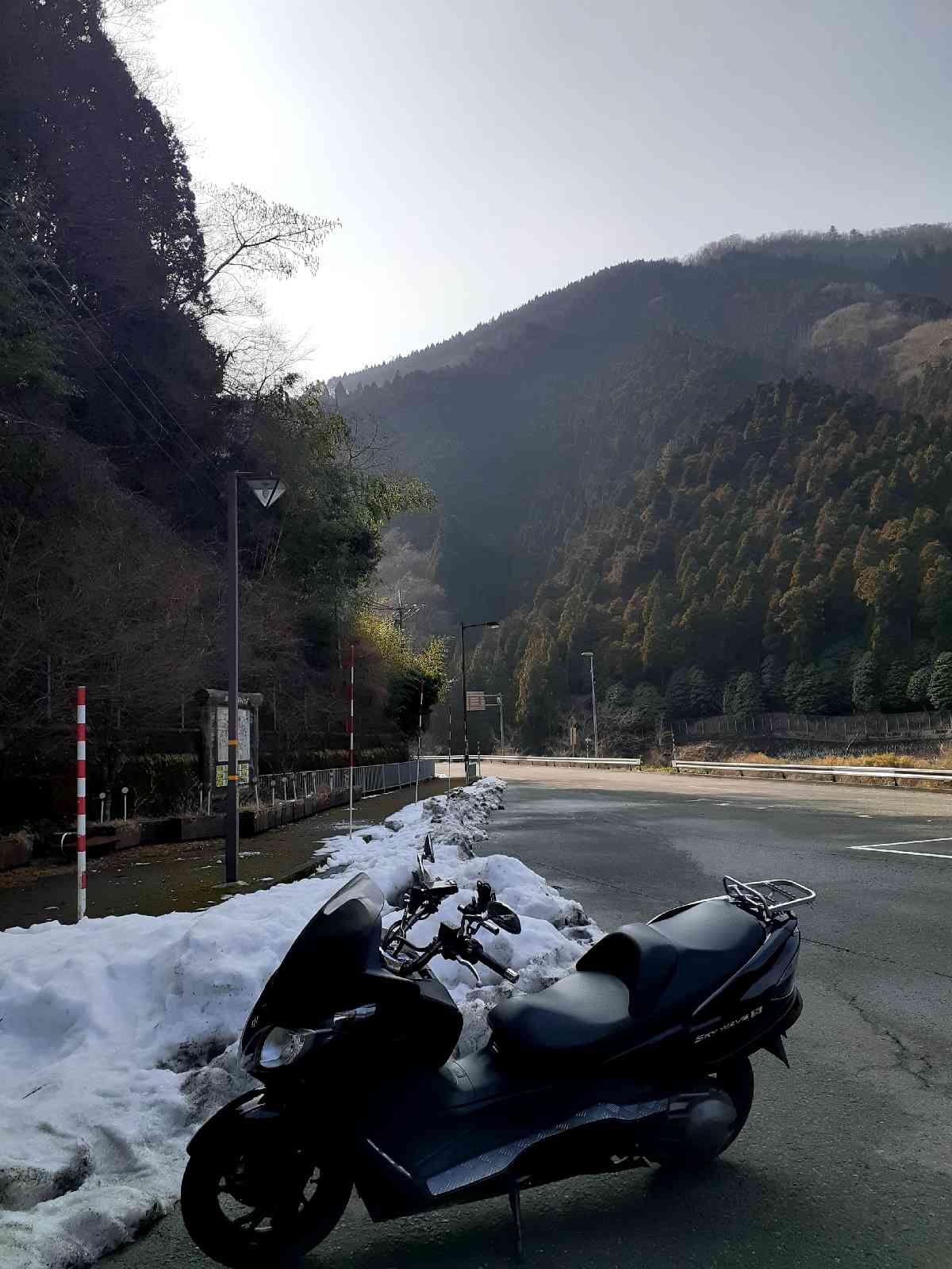 投稿された画像