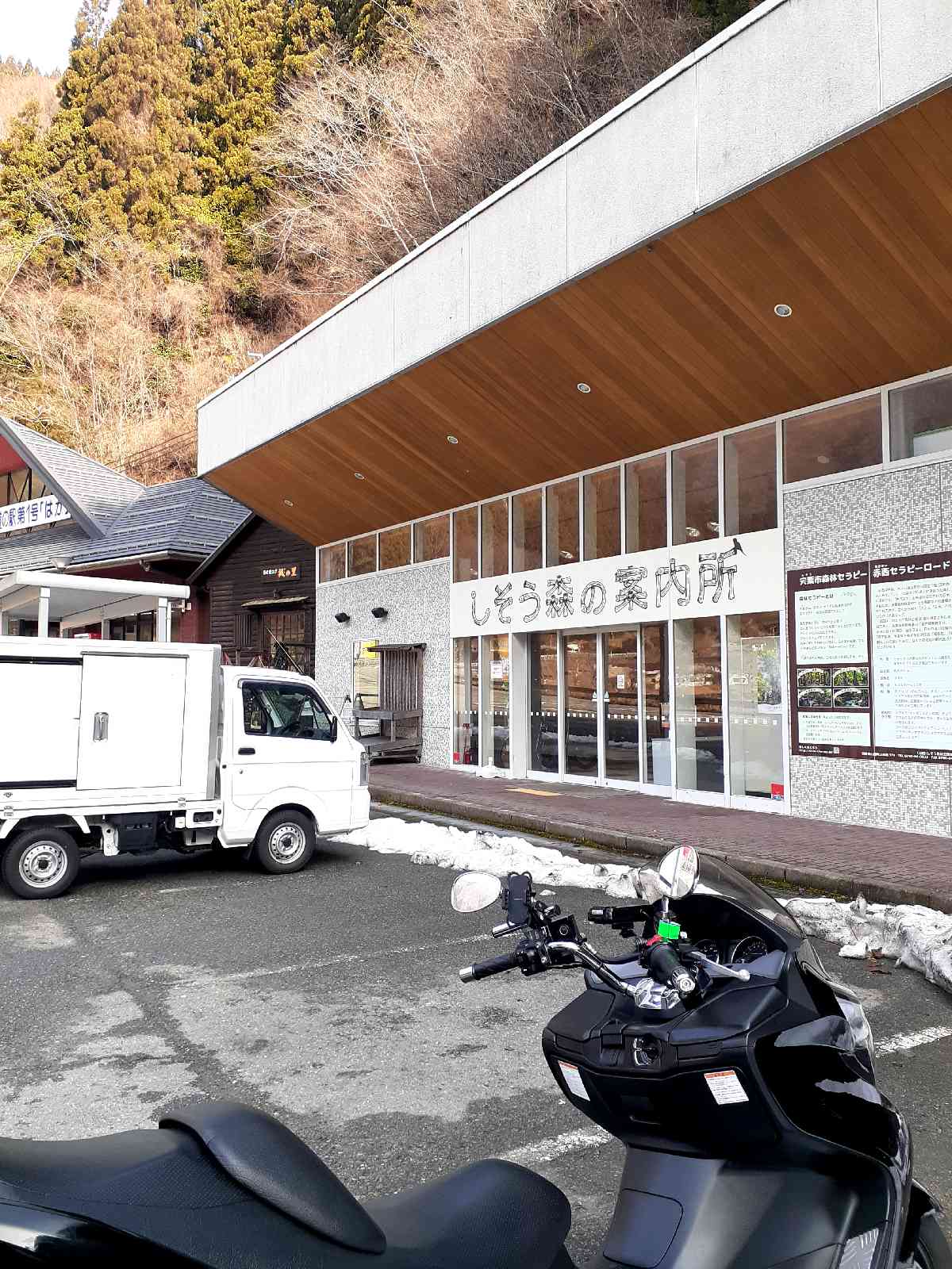 投稿された画像