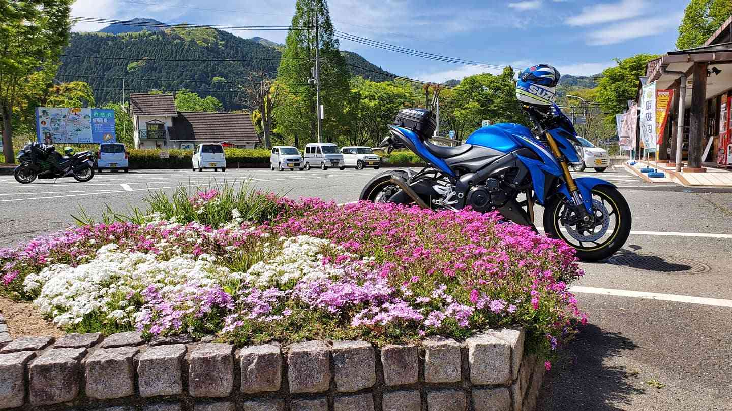 投稿された画像