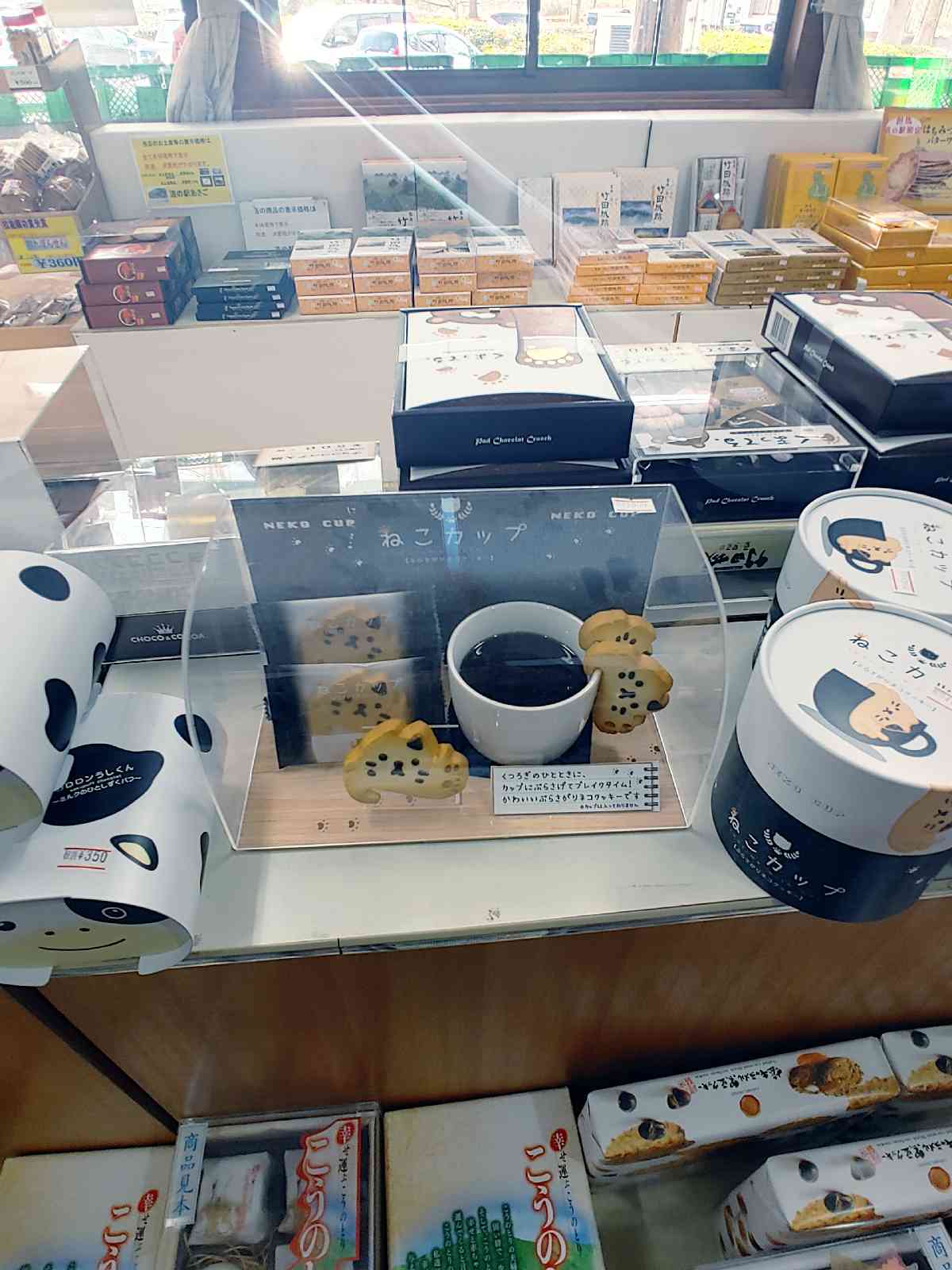 投稿された画像