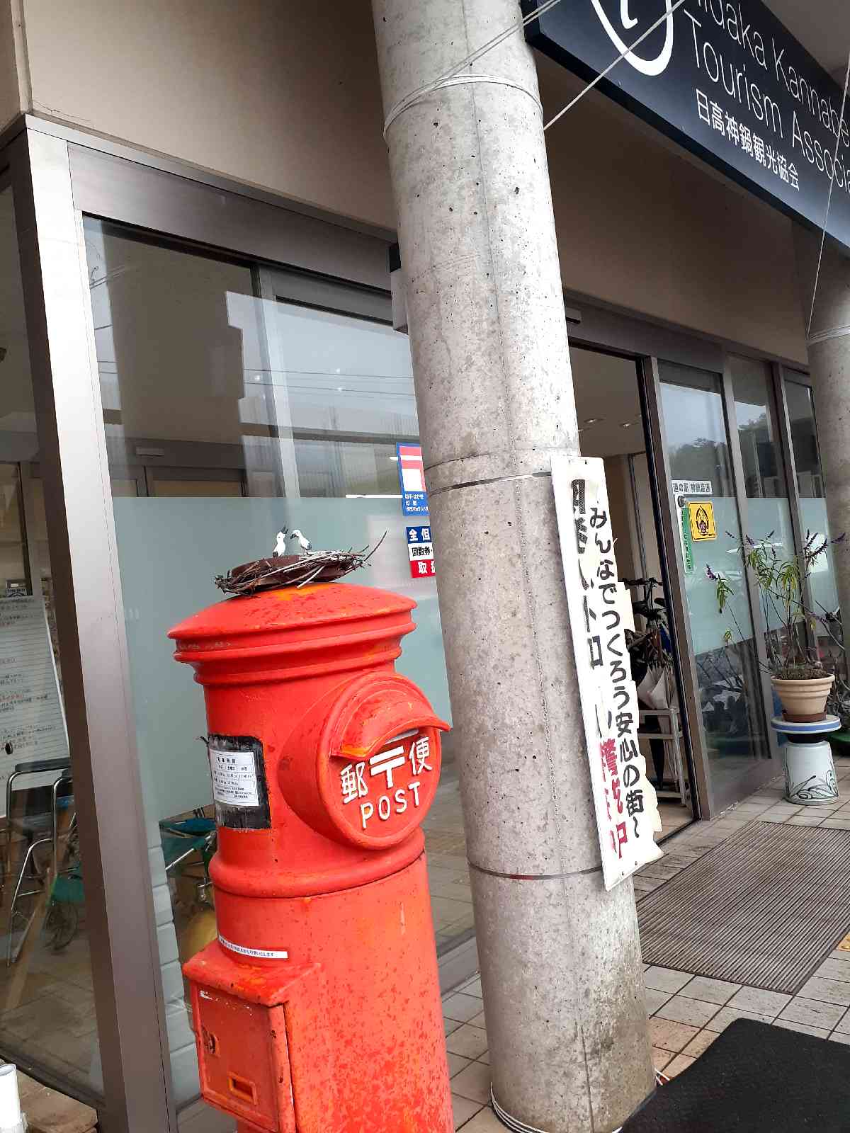 投稿された画像