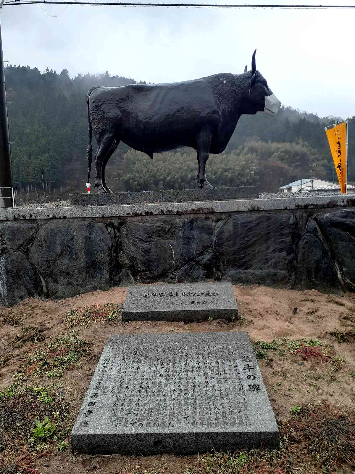 投稿された画像