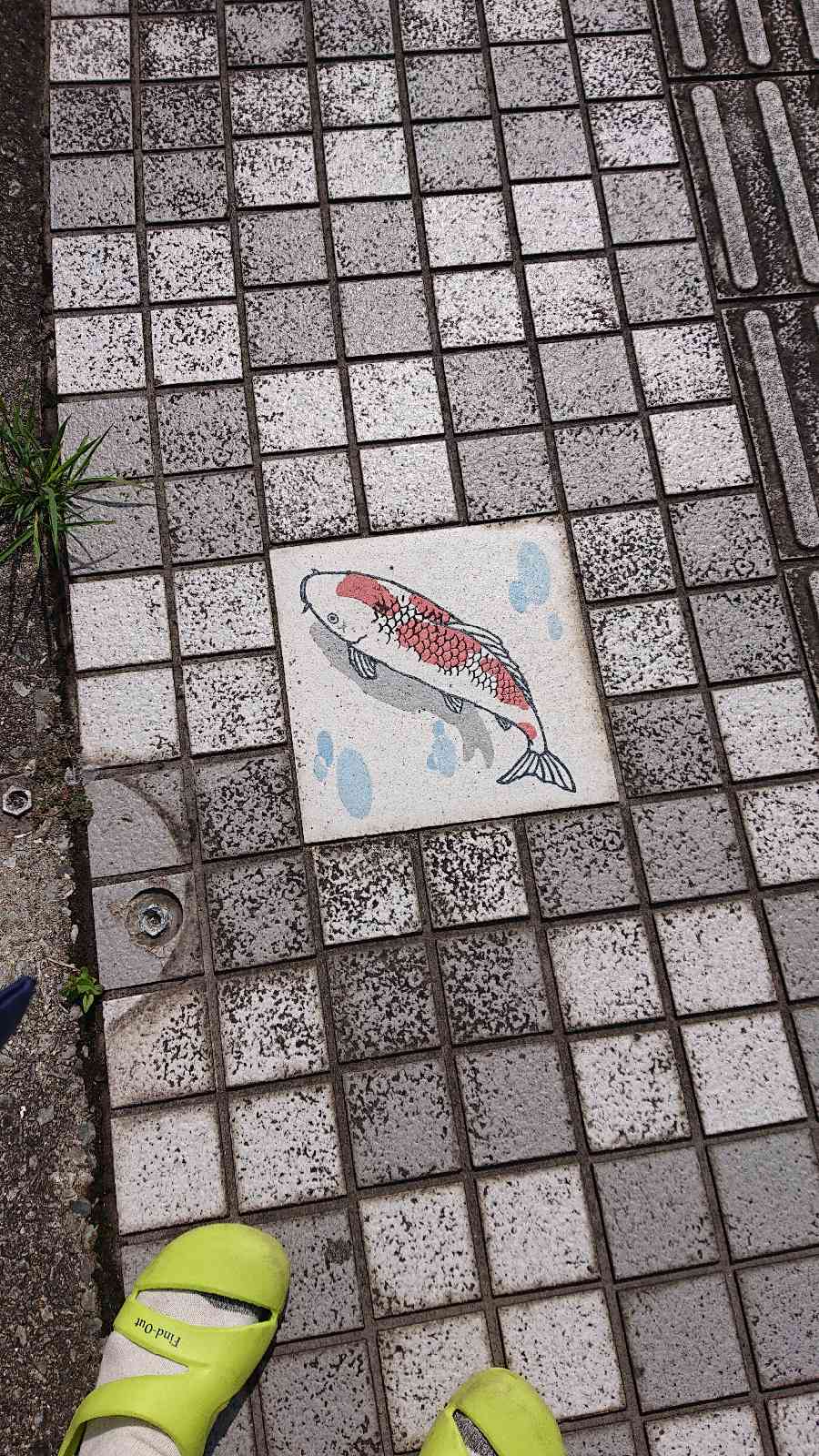投稿された画像