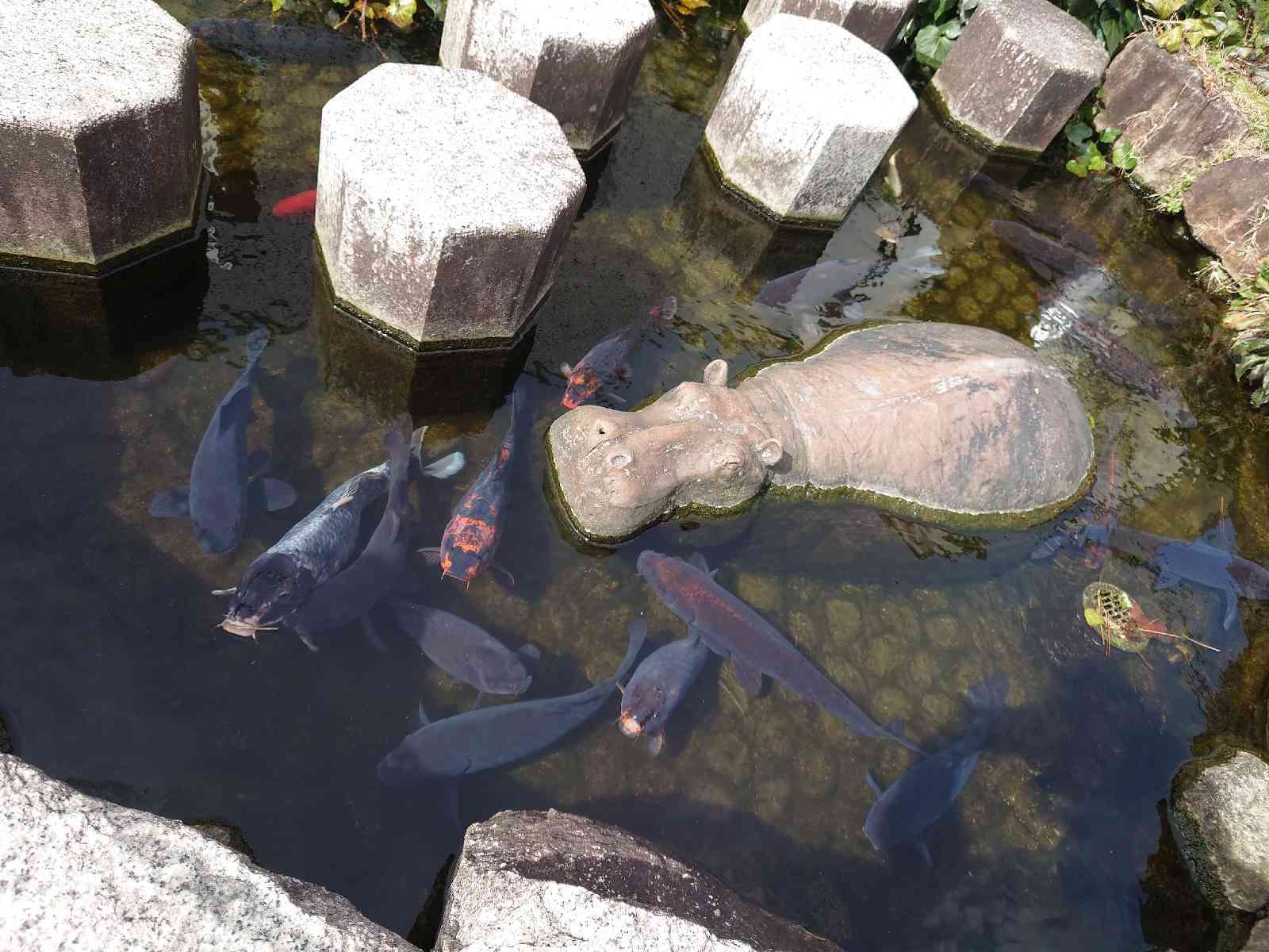 投稿された画像