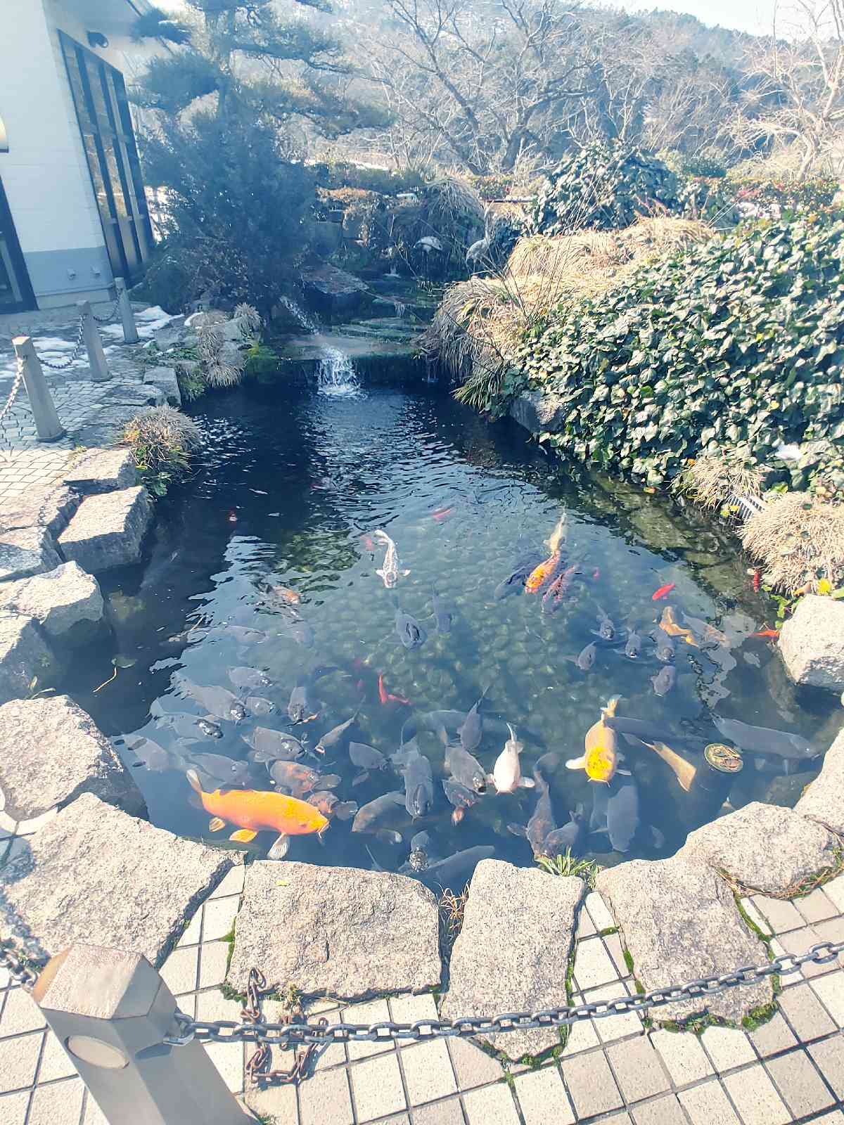 投稿された画像