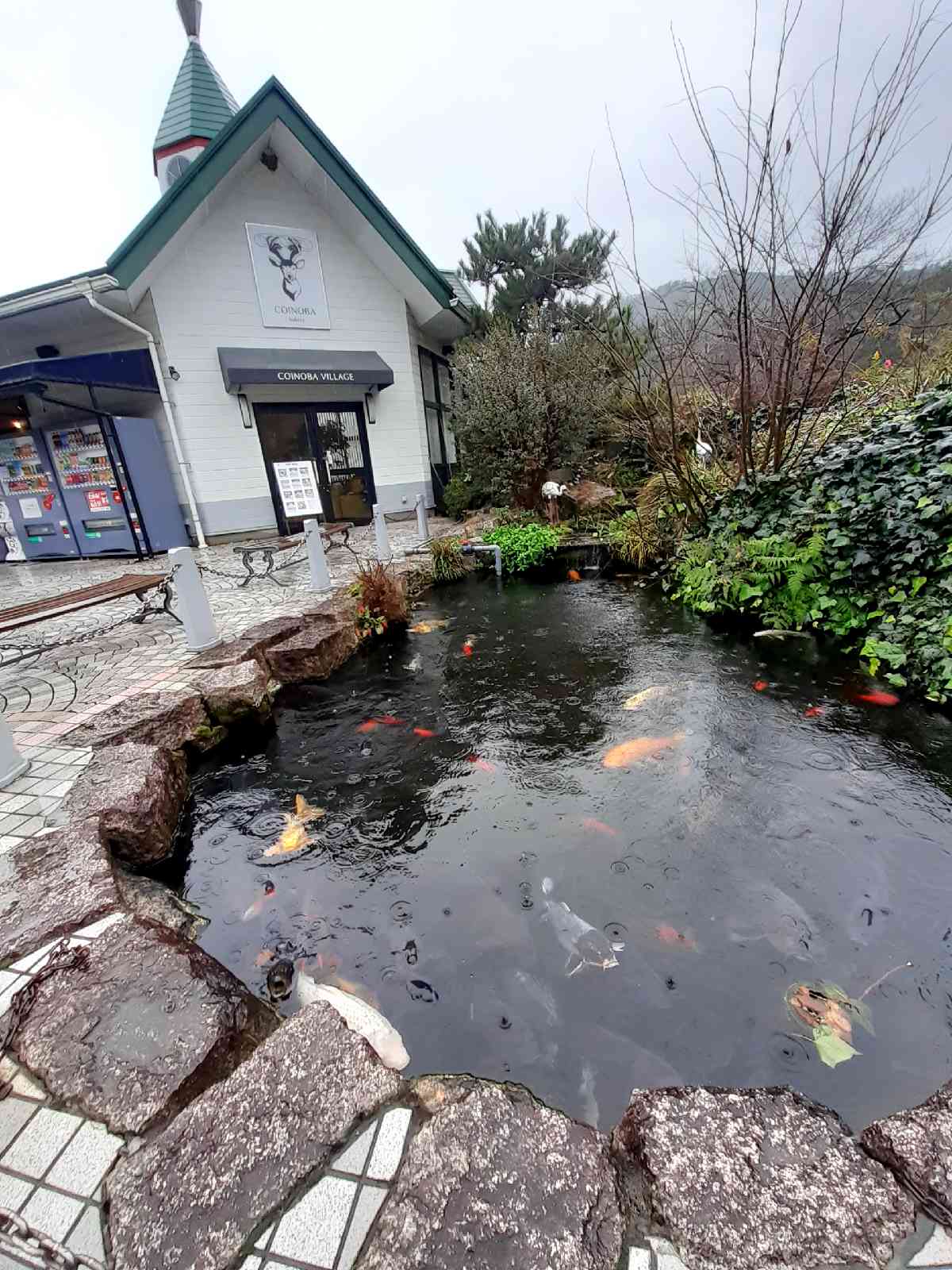 投稿された画像