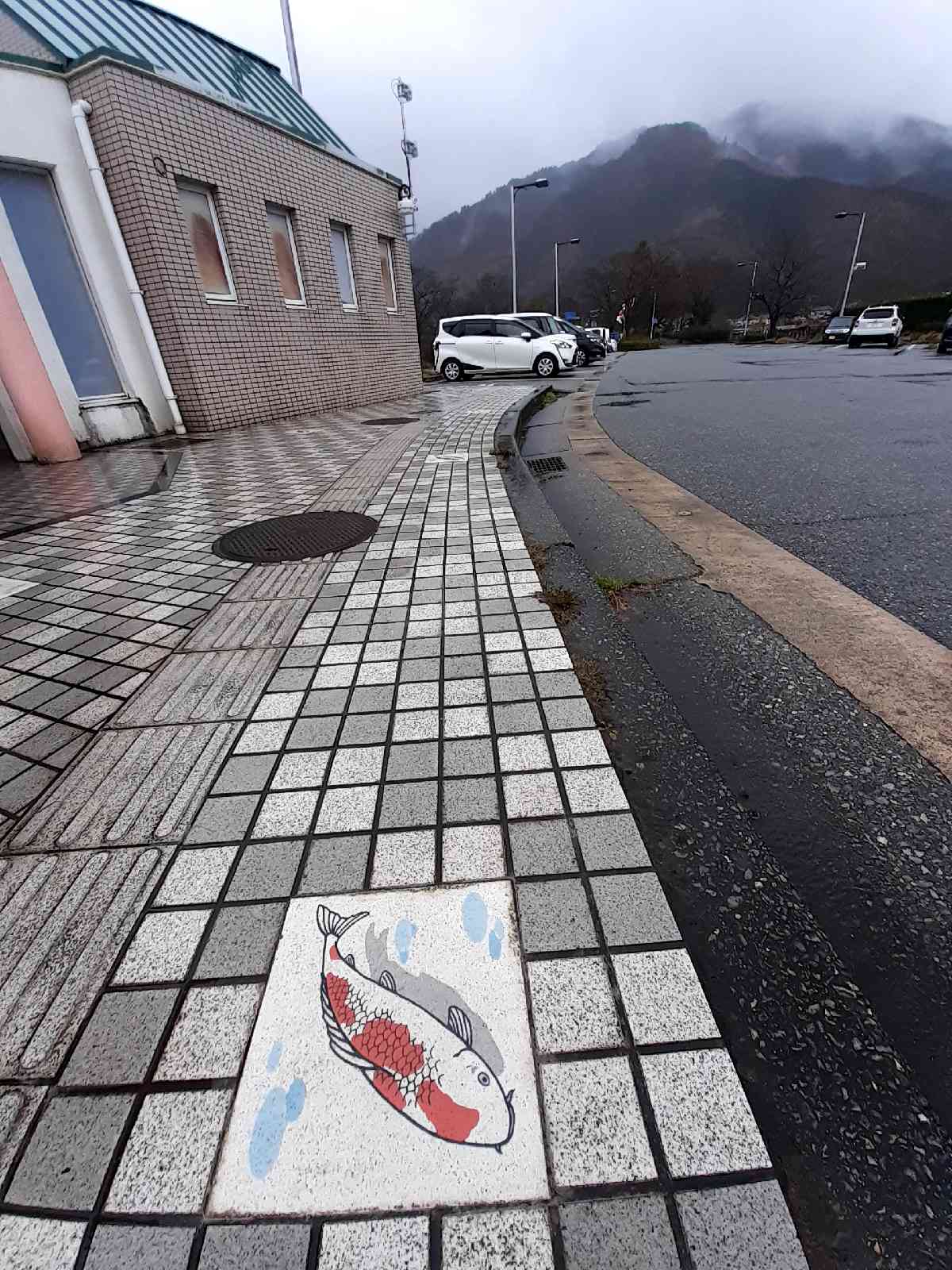 投稿された画像
