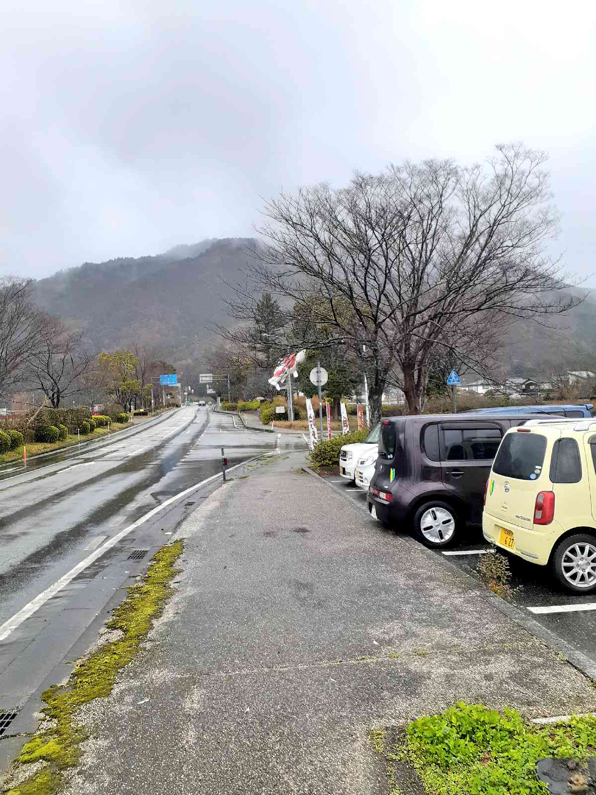 投稿された画像