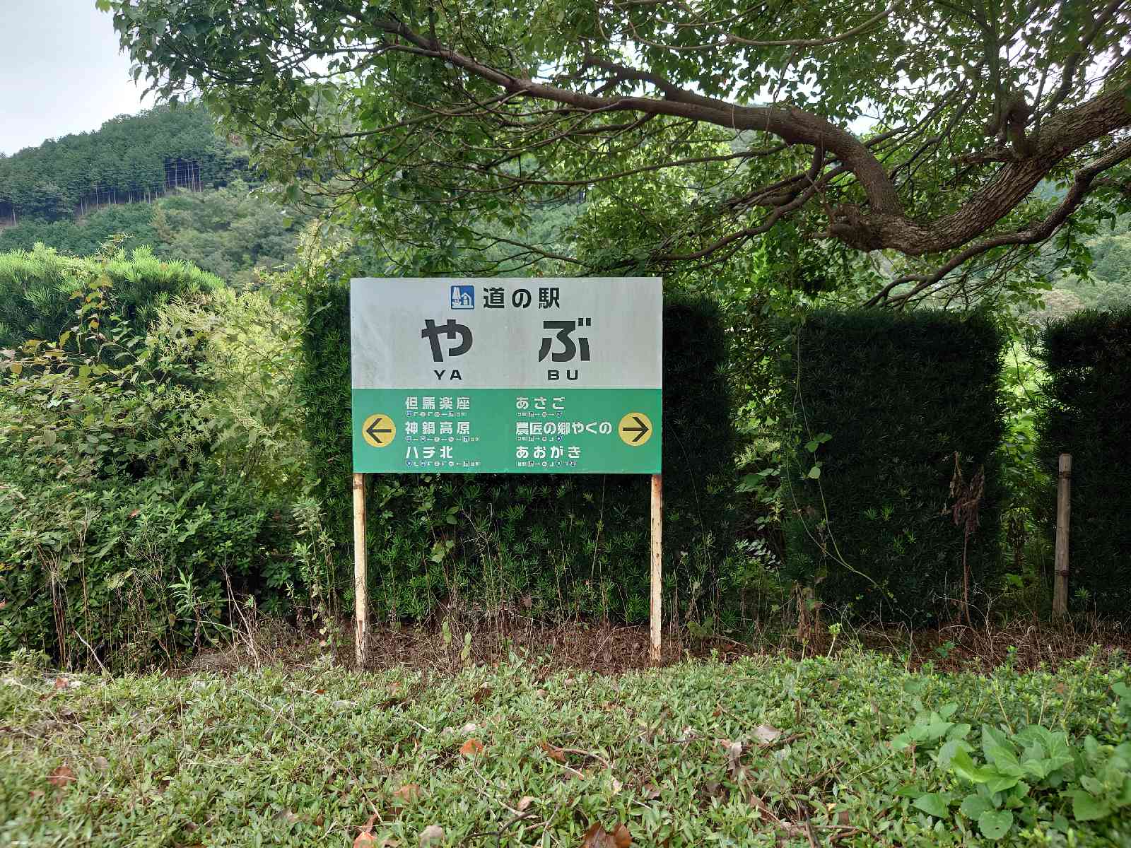 道の駅 やぶの写真