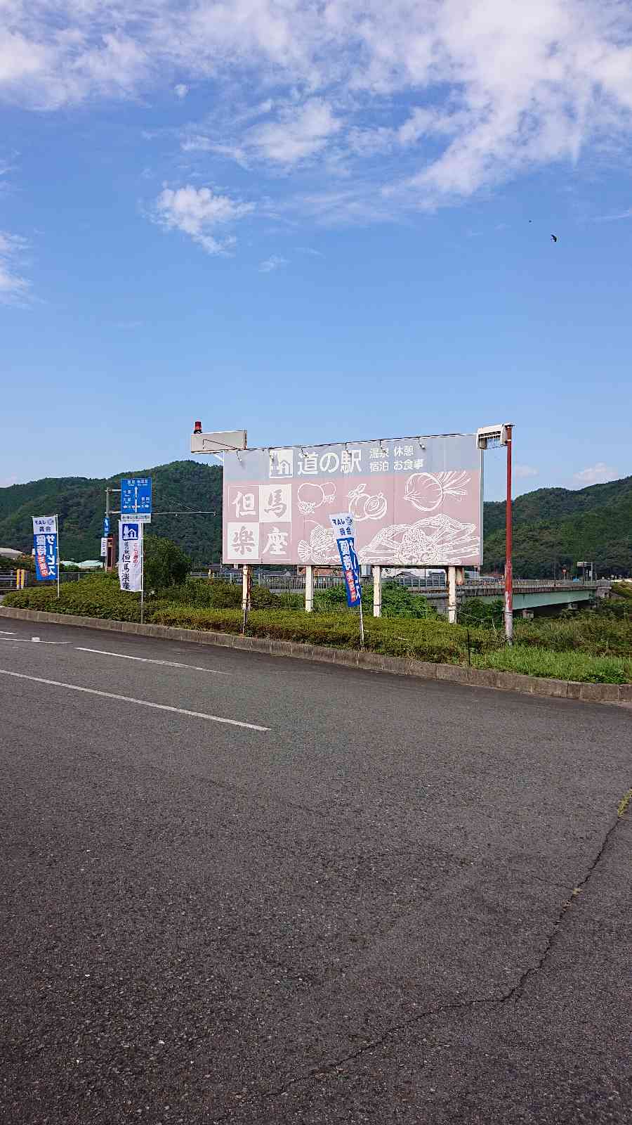 投稿された画像