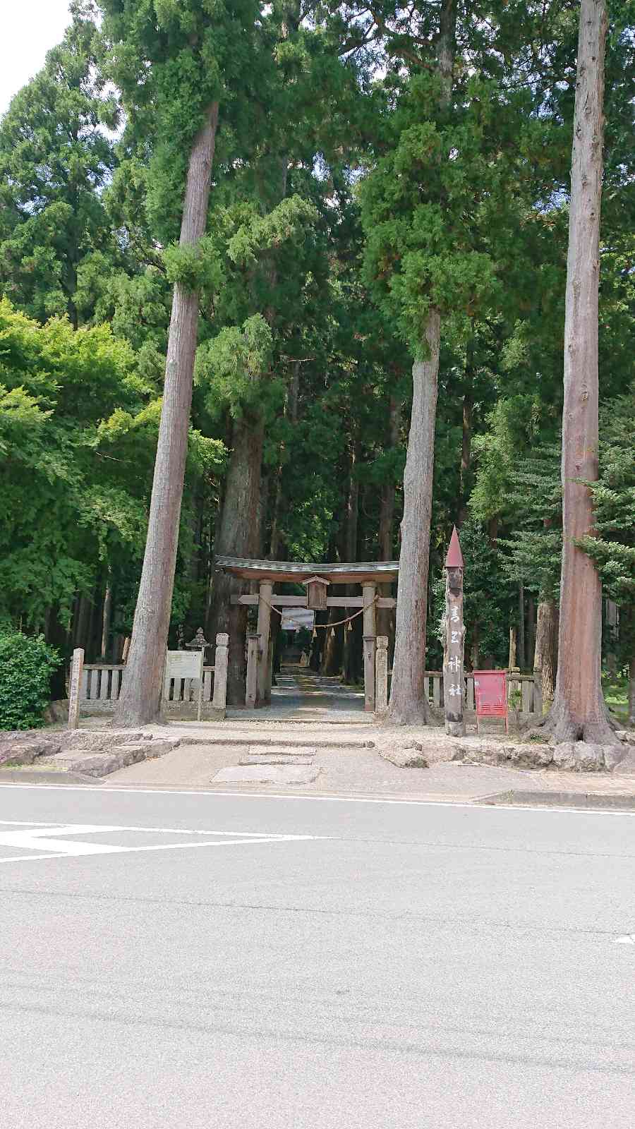 投稿された画像