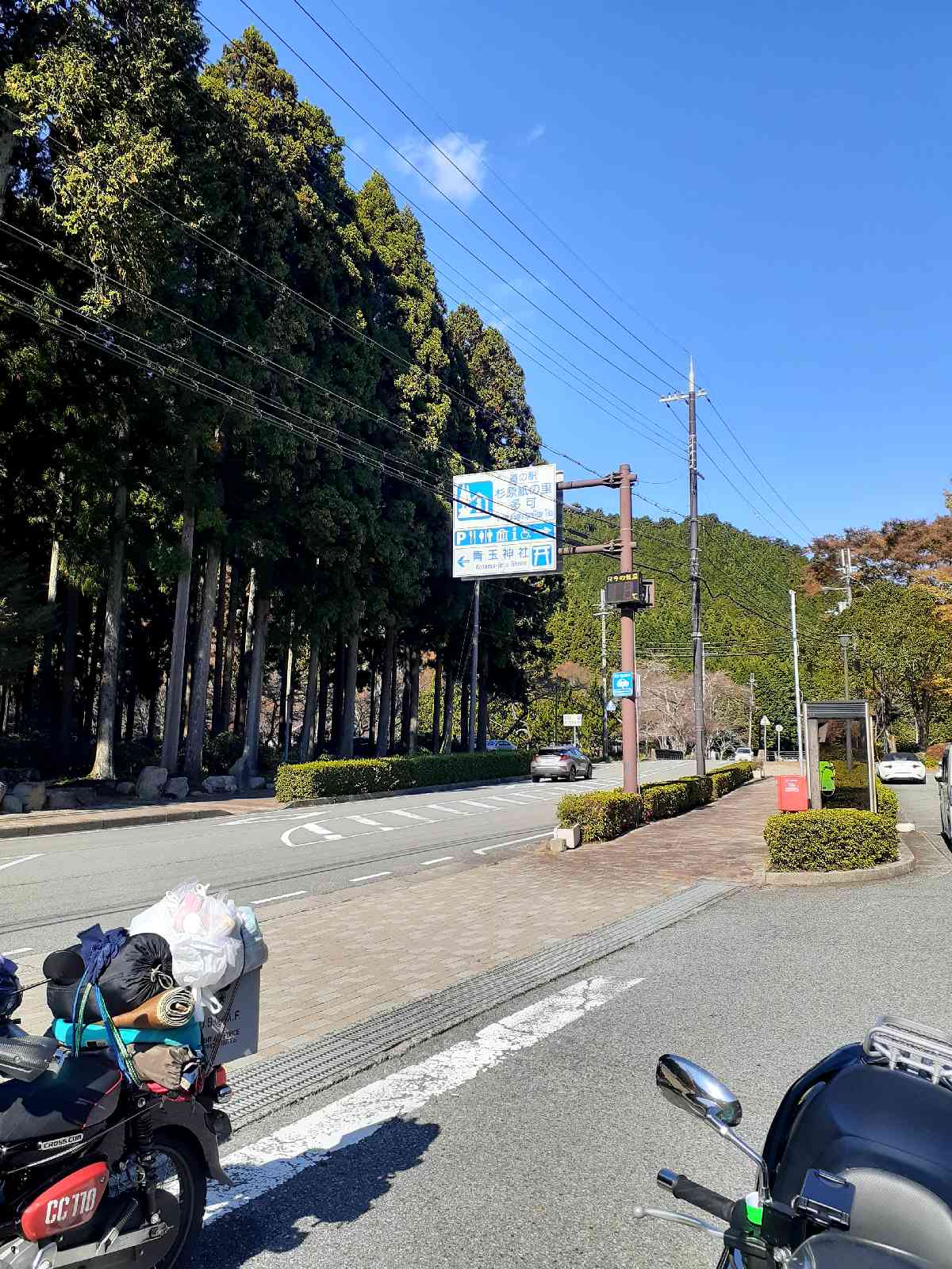 投稿された画像