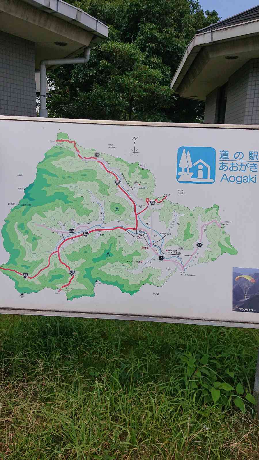 投稿された画像