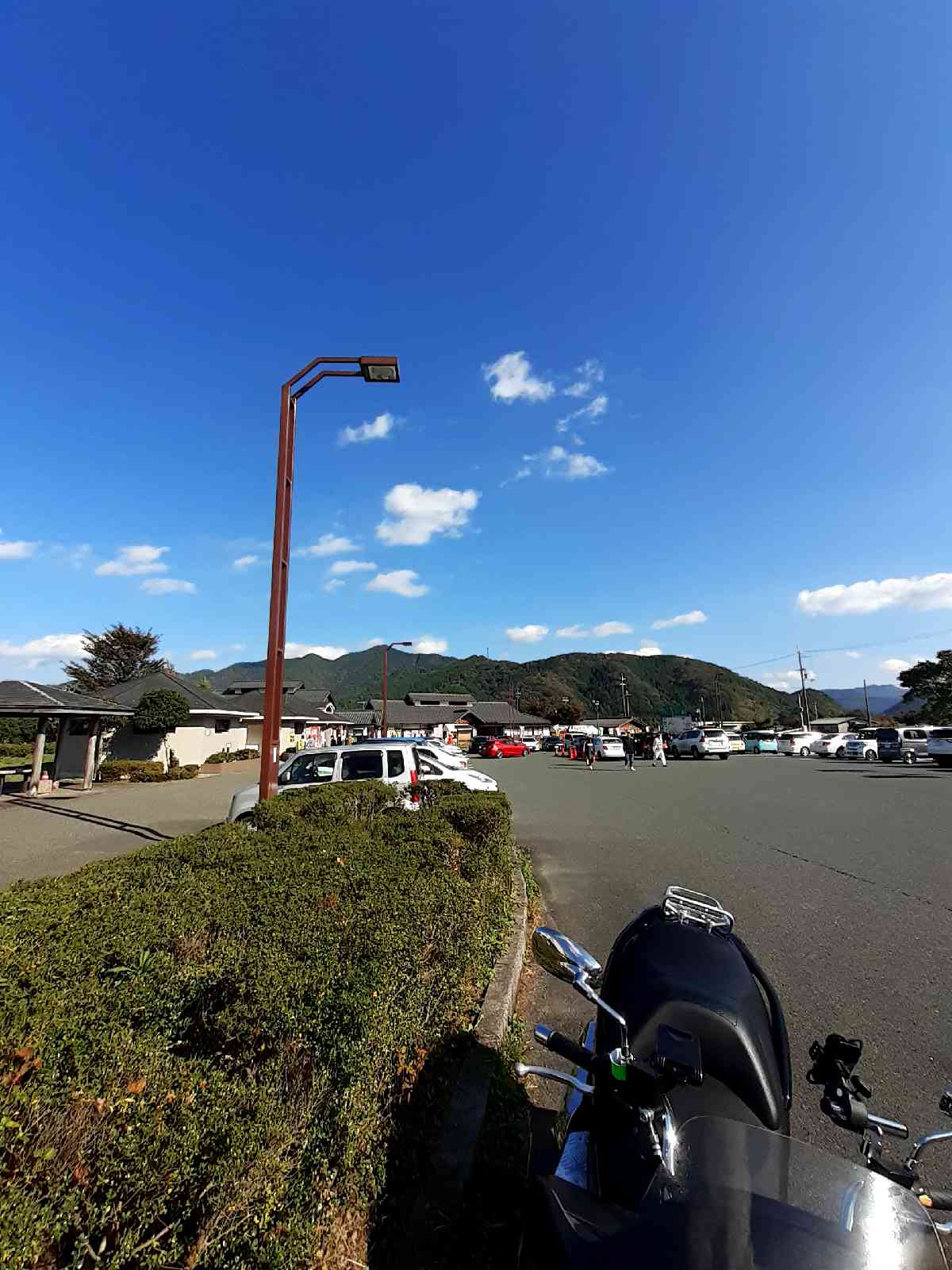 投稿された画像