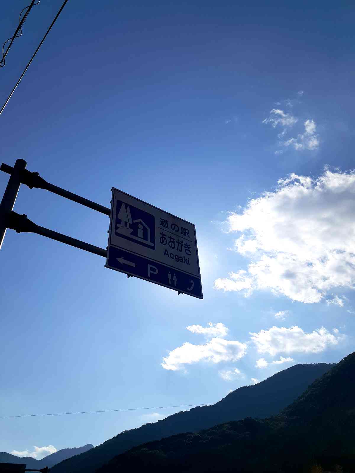 投稿された画像