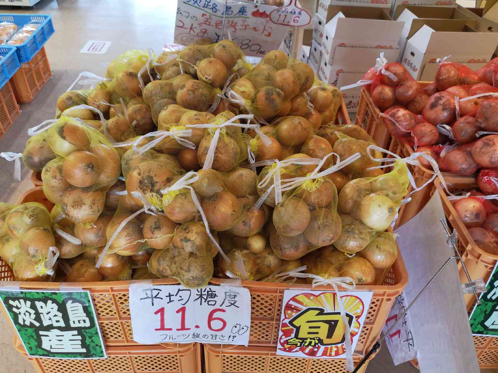 投稿された画像