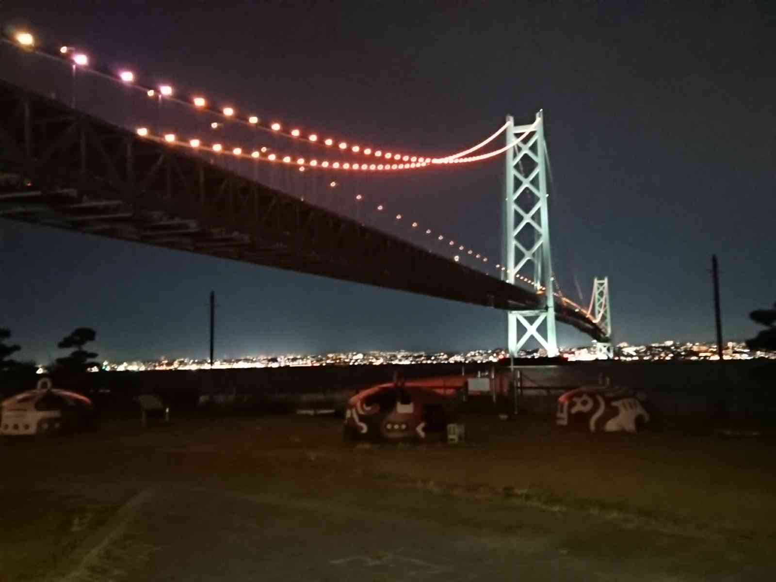 投稿された画像