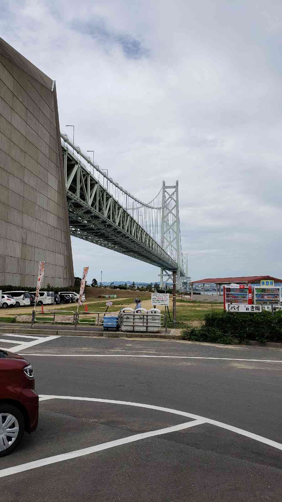 投稿された画像