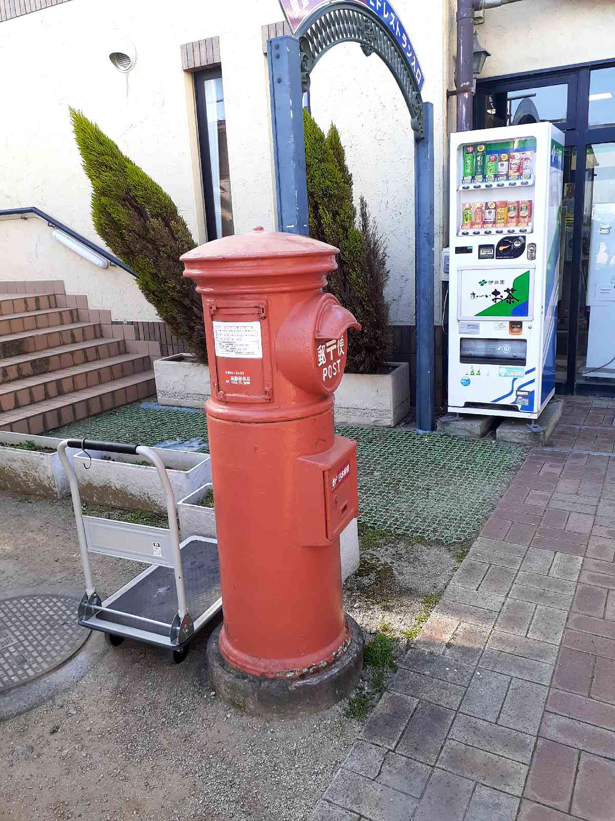 投稿された画像