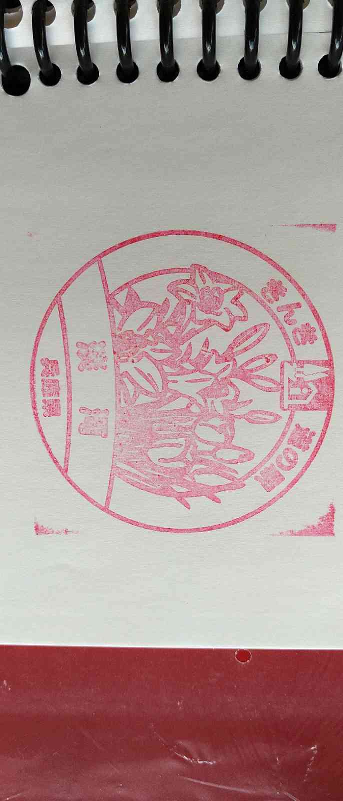 投稿された画像
