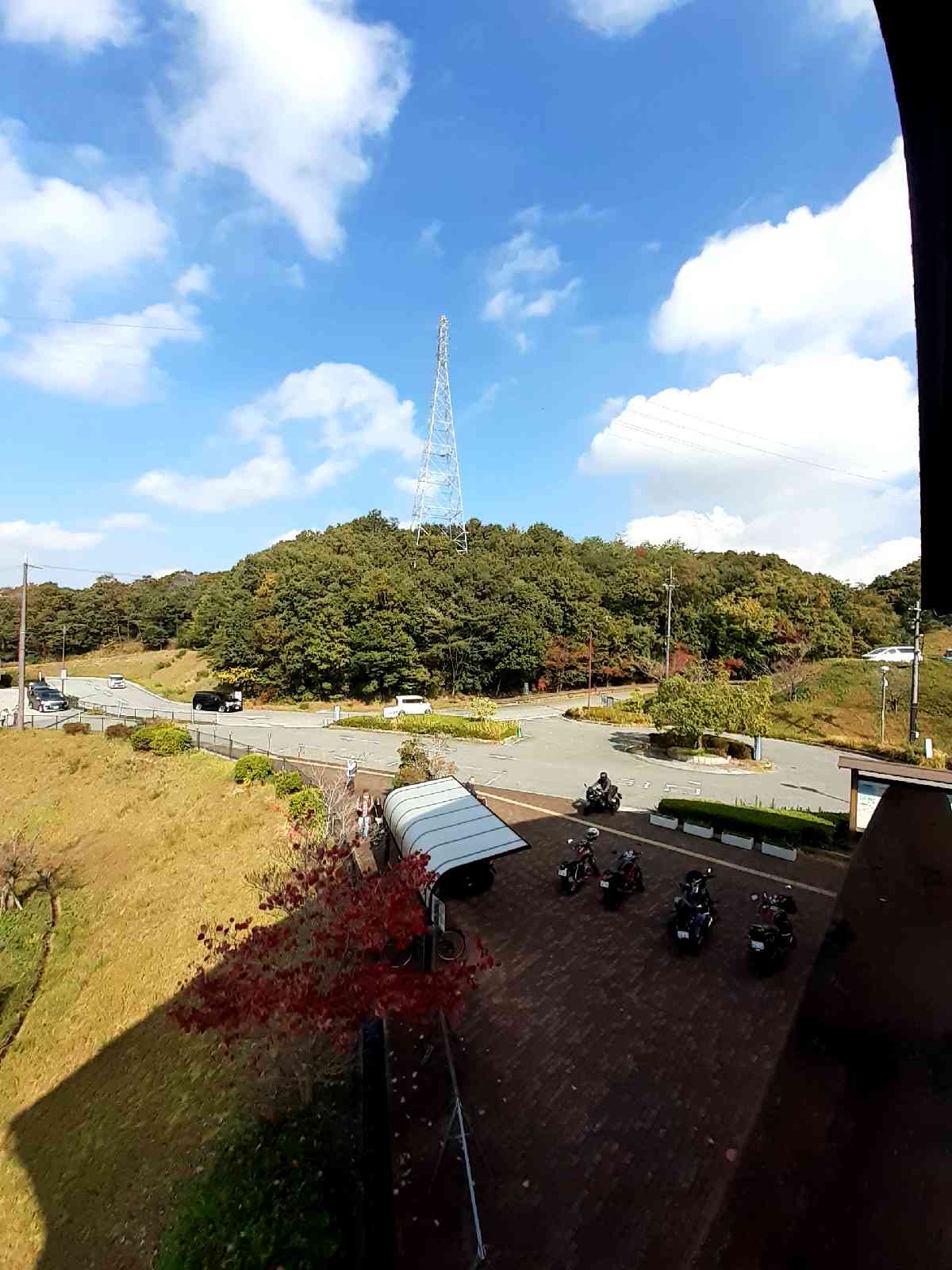 投稿された画像