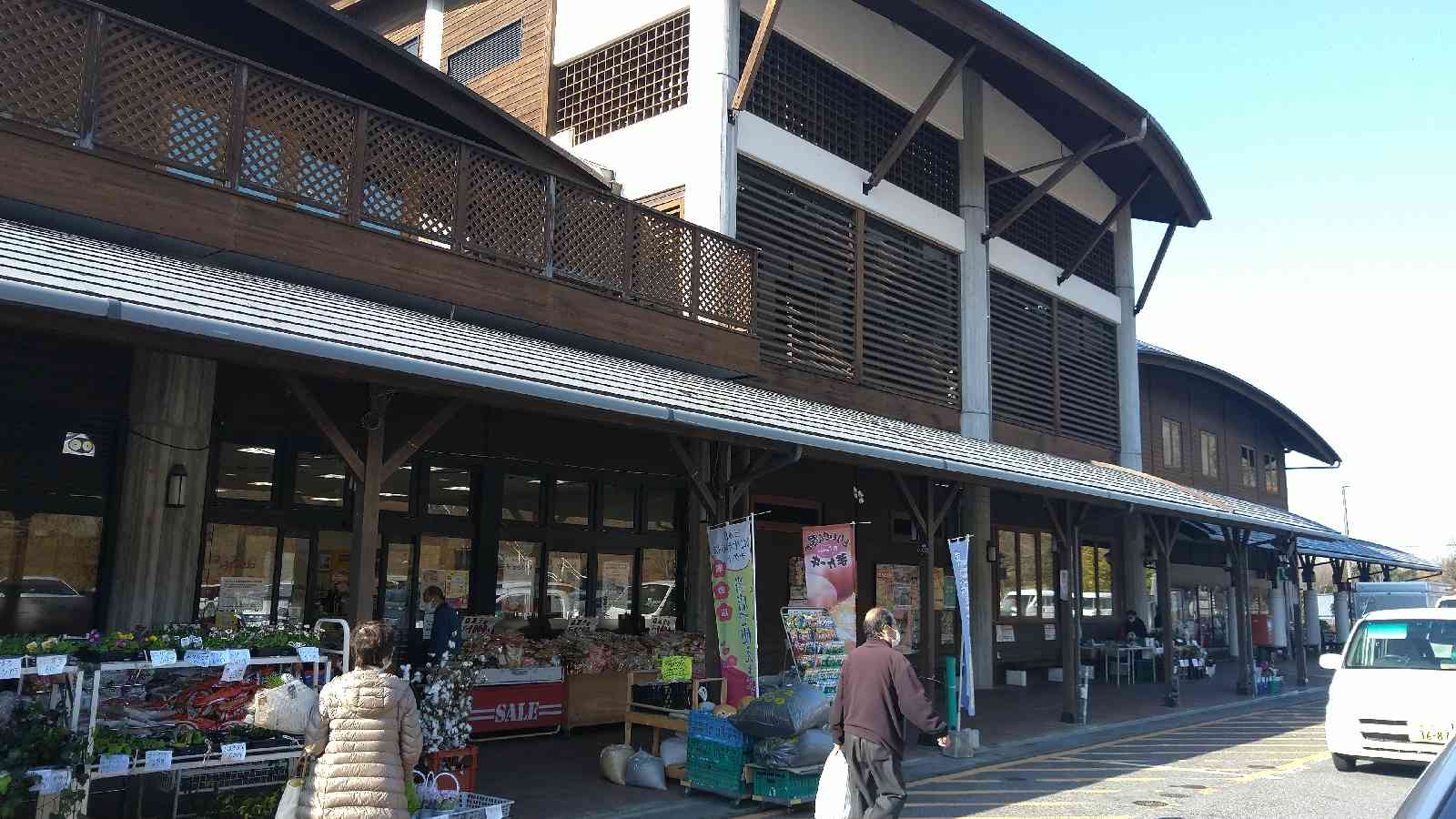 投稿された画像