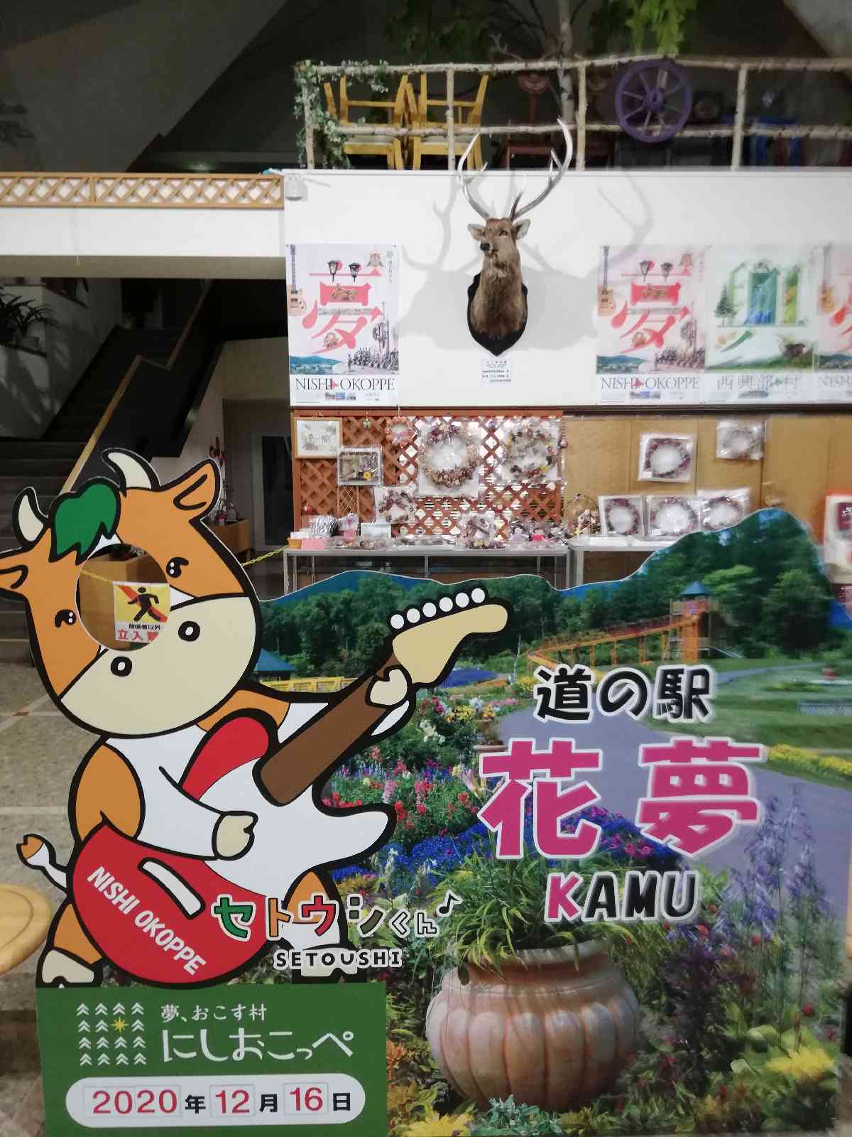 投稿された画像