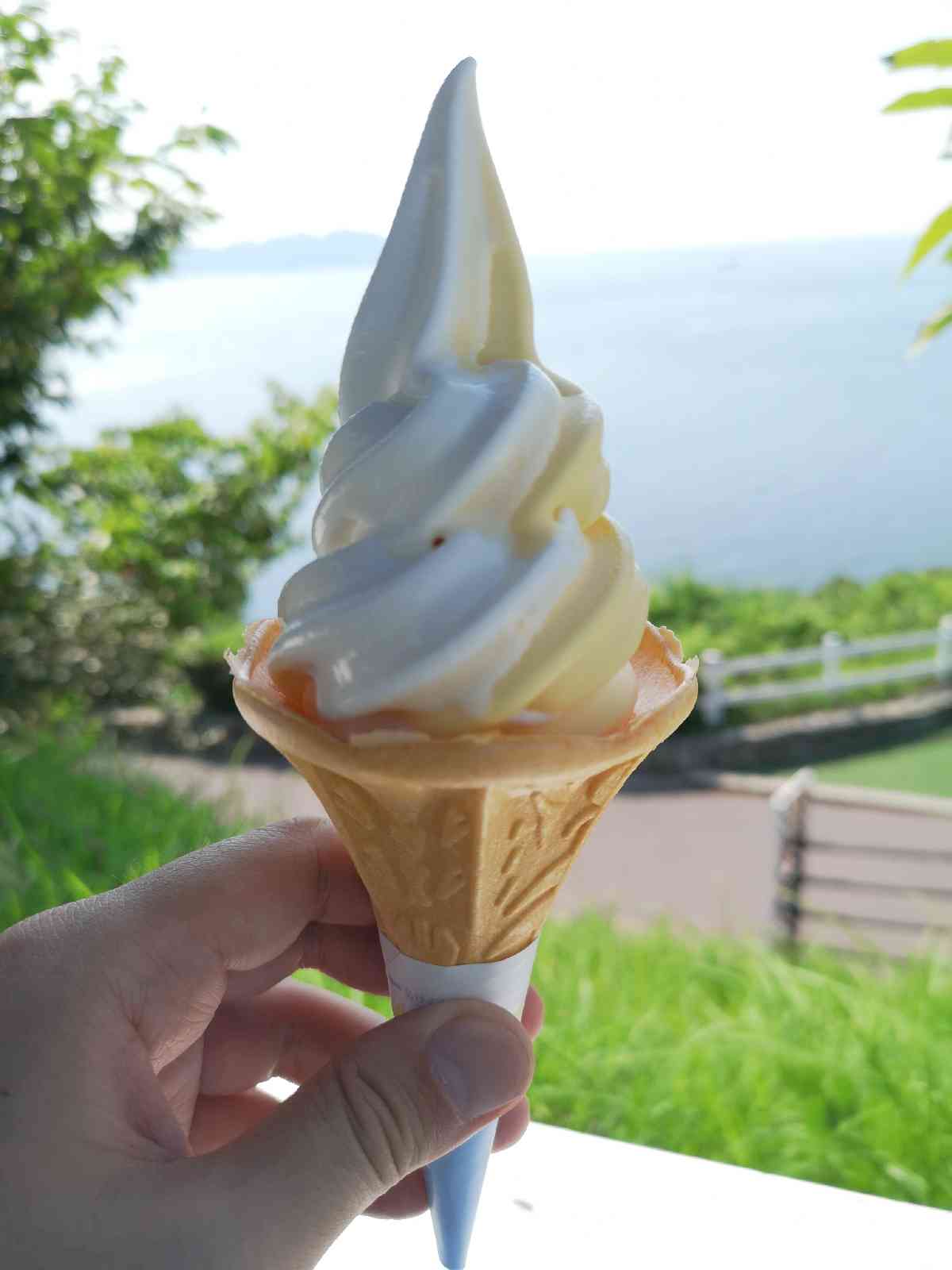 投稿された画像