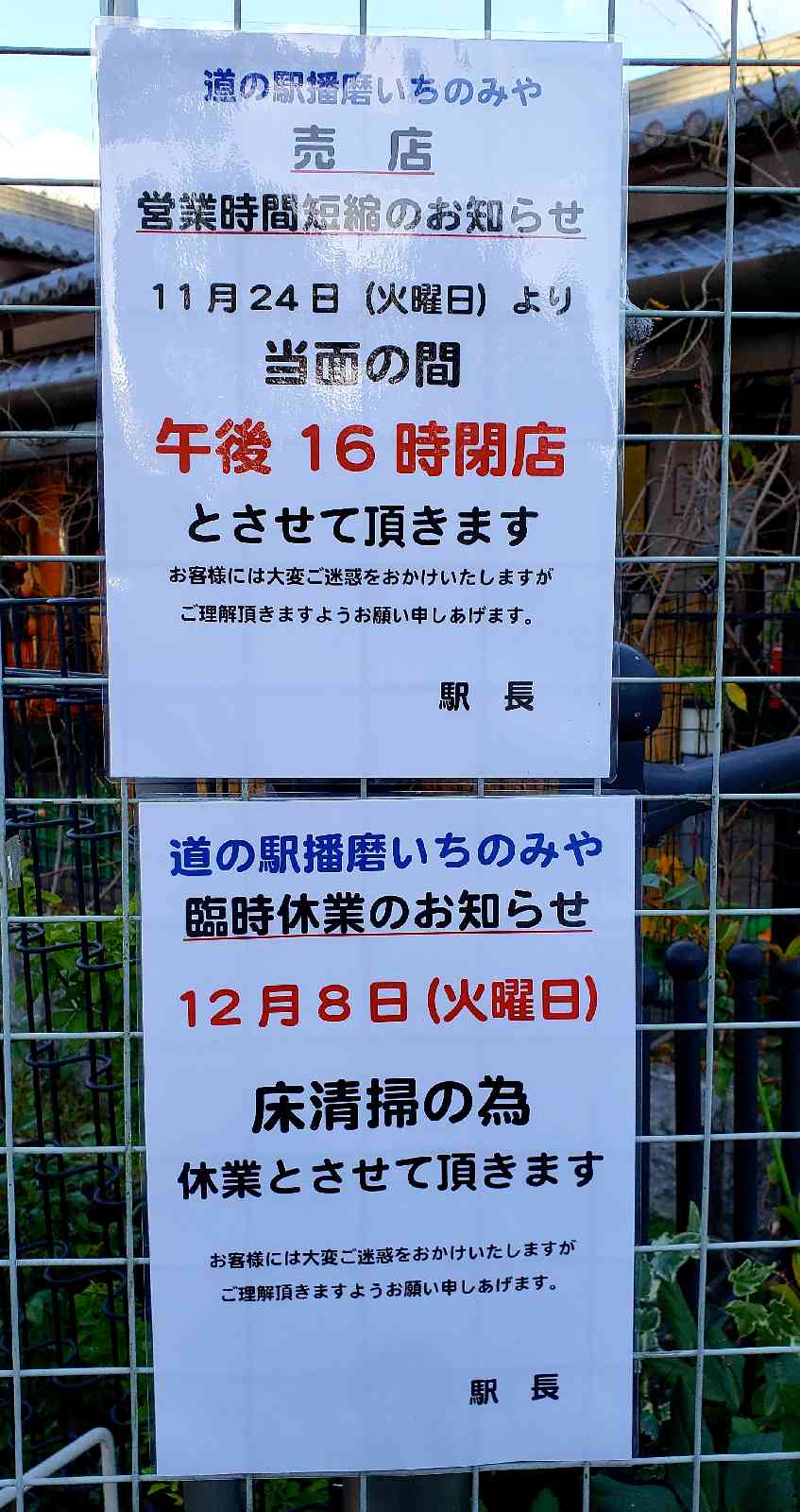 投稿された画像