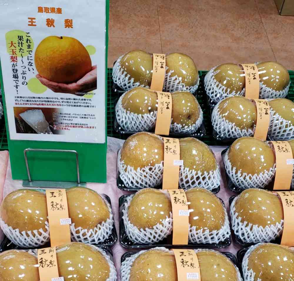 投稿された画像