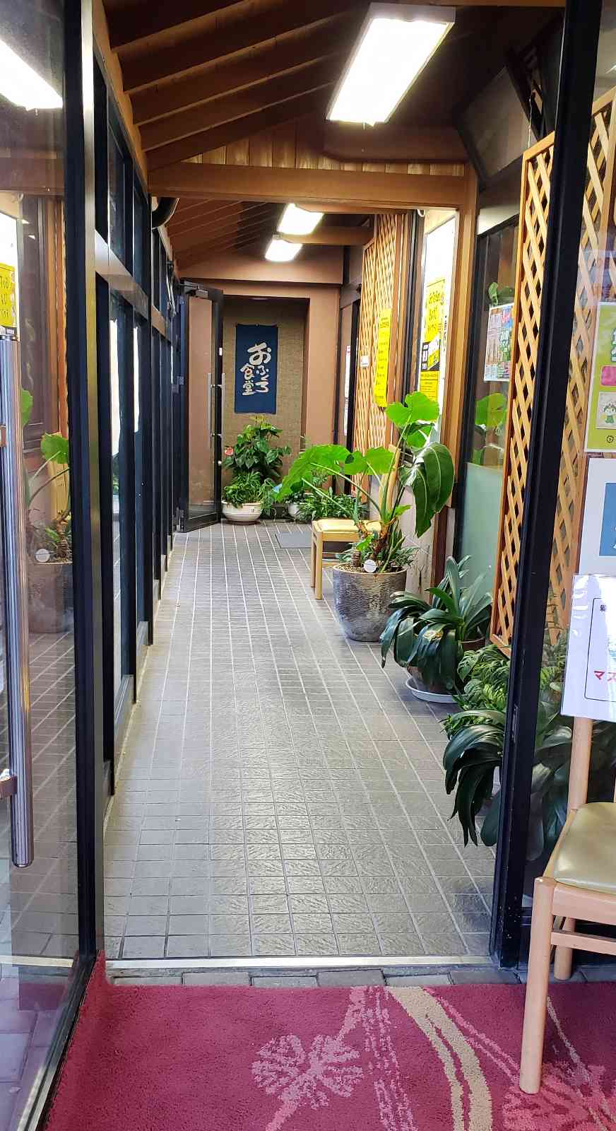 投稿された画像