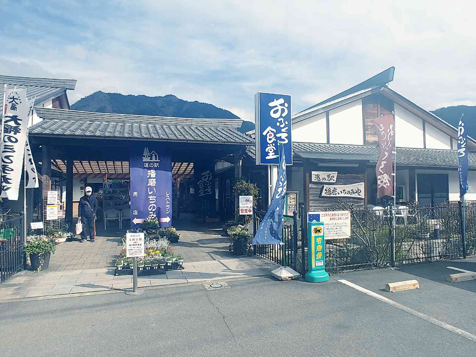 投稿された画像