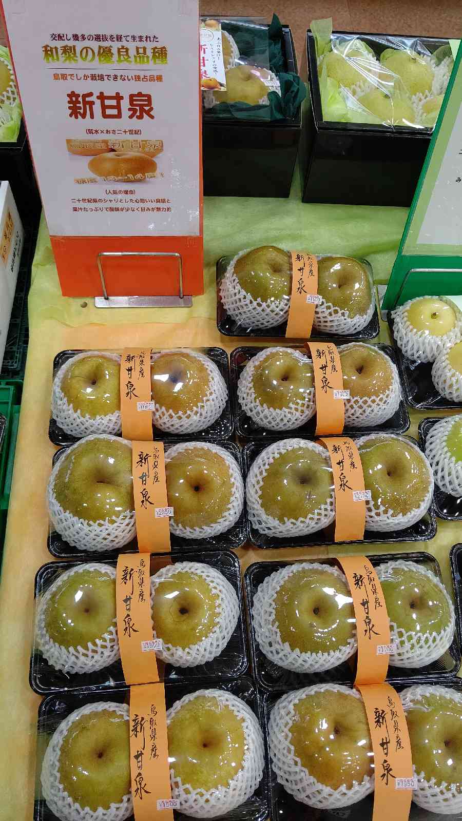 投稿された画像