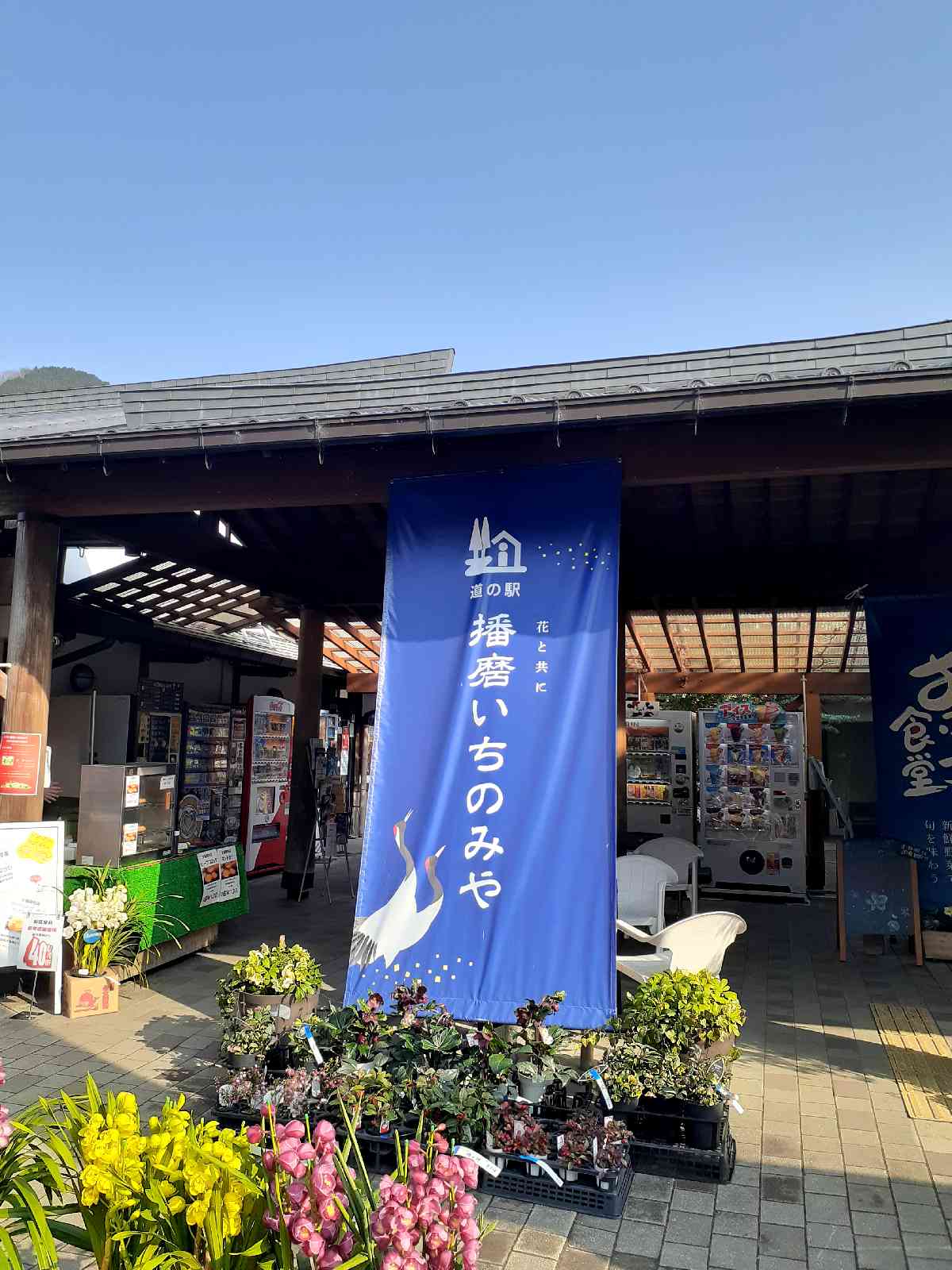 投稿された画像