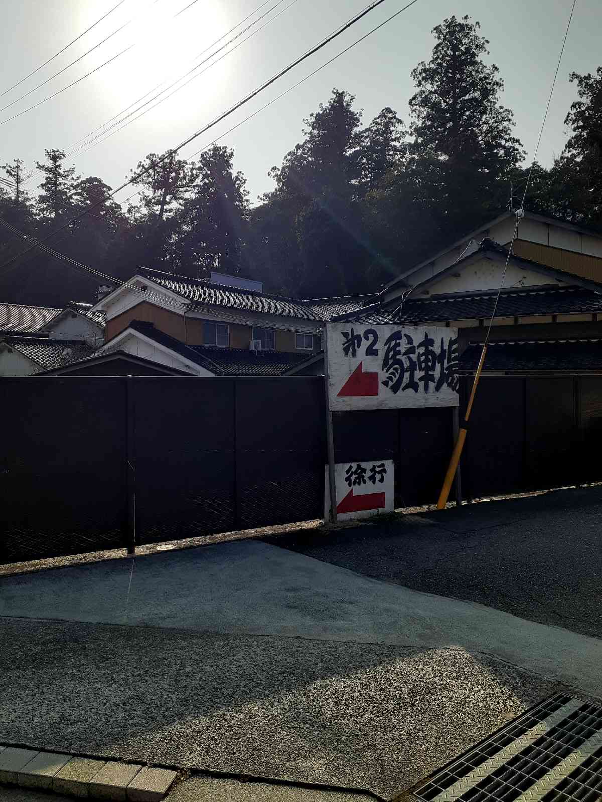 投稿された画像