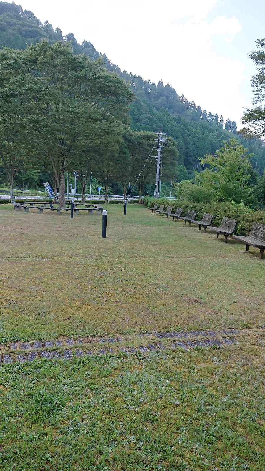 投稿された画像