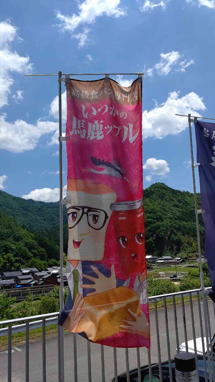 投稿された画像