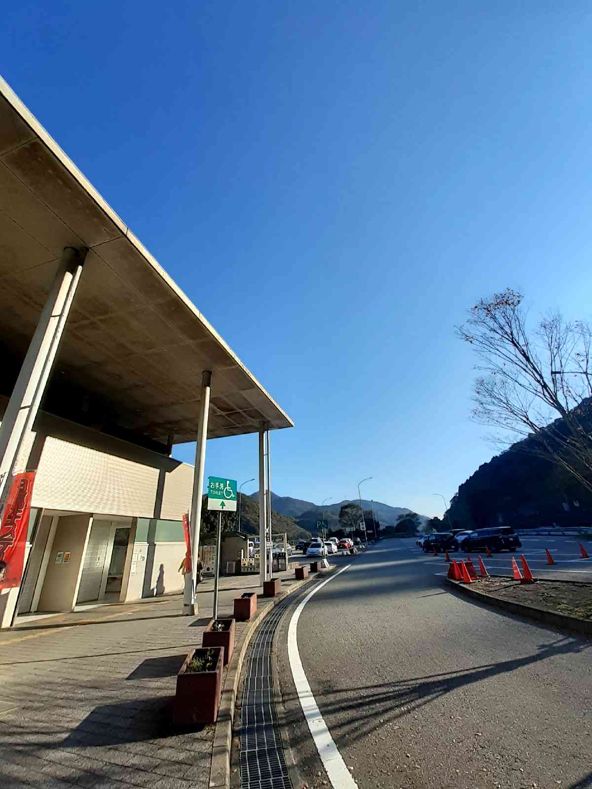 投稿された画像