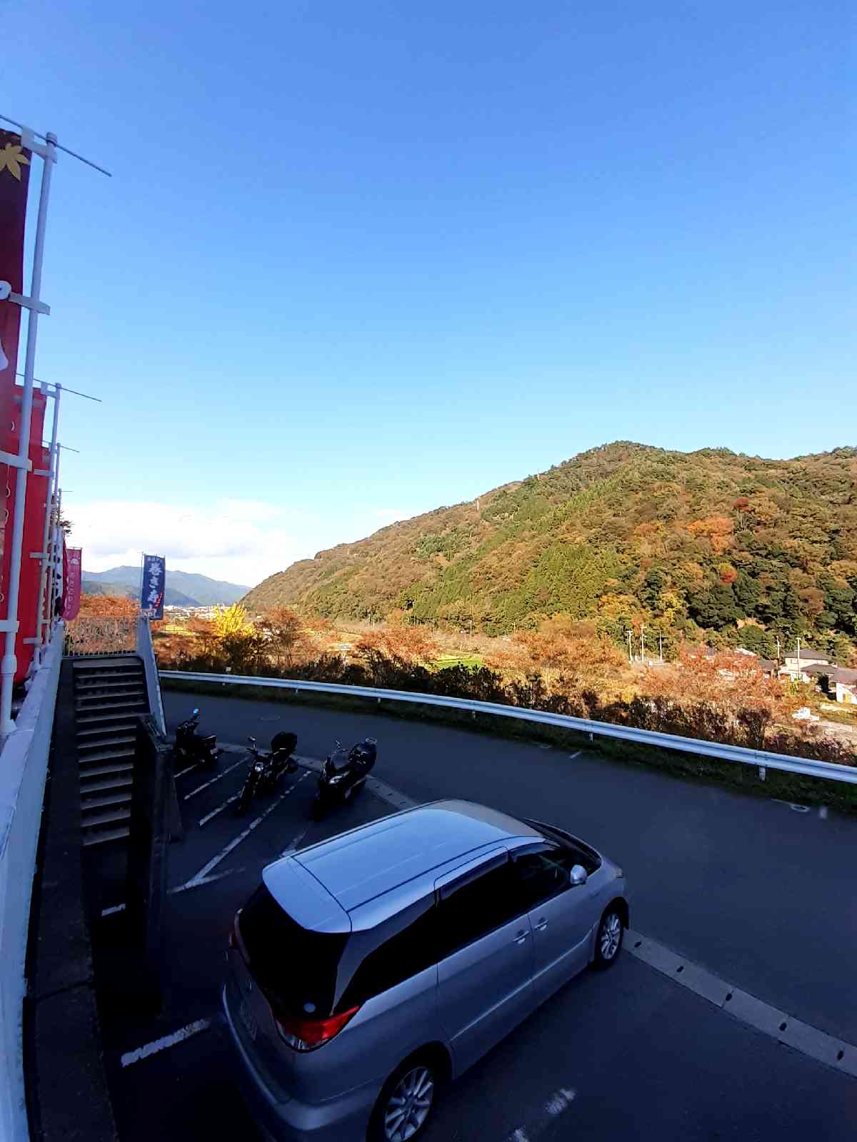 投稿された画像