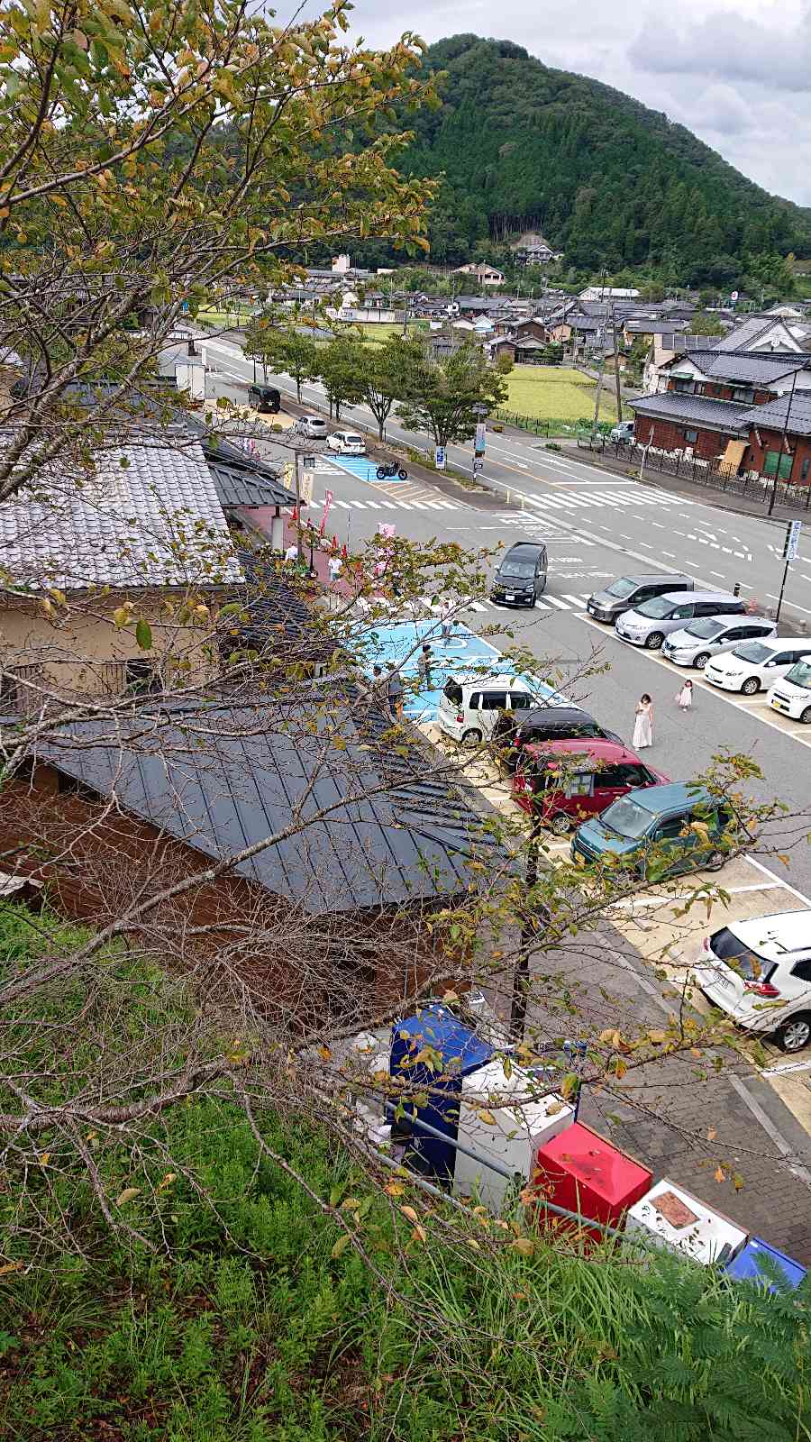 投稿された画像