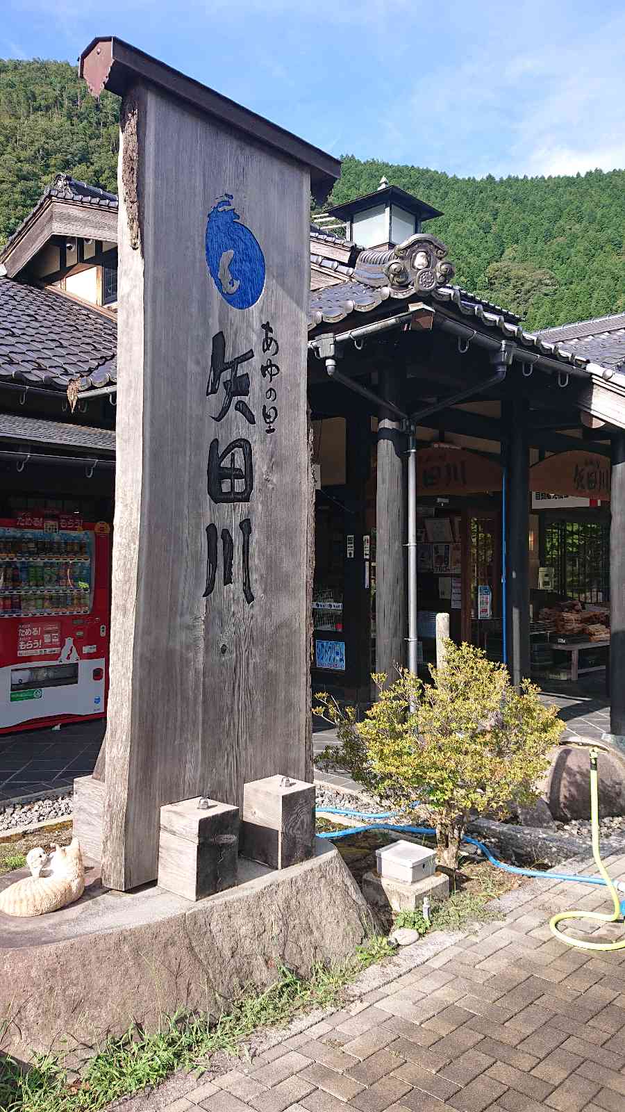 投稿された画像