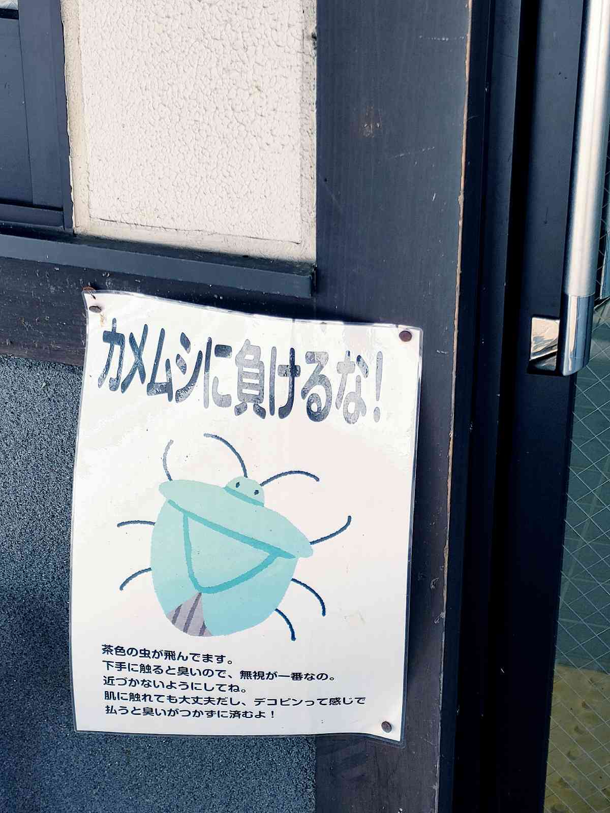 投稿された画像