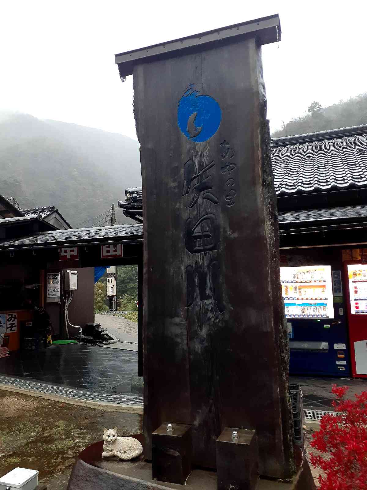 投稿された画像
