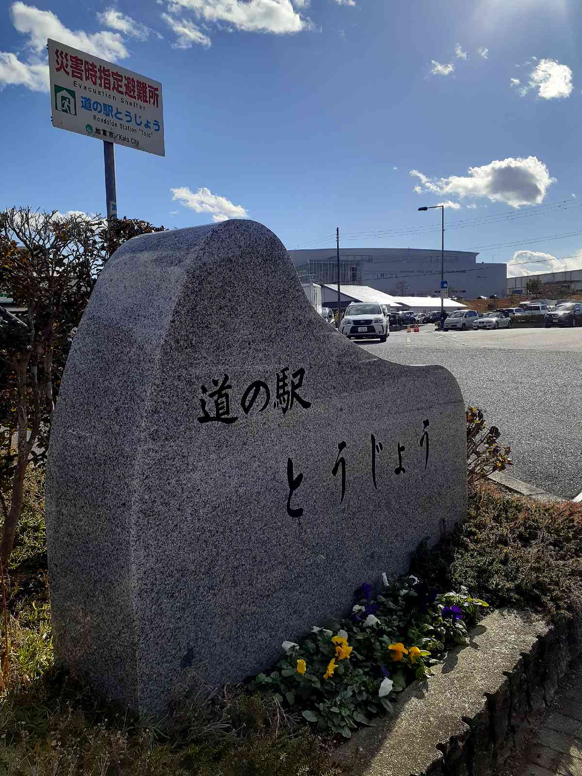 投稿された画像