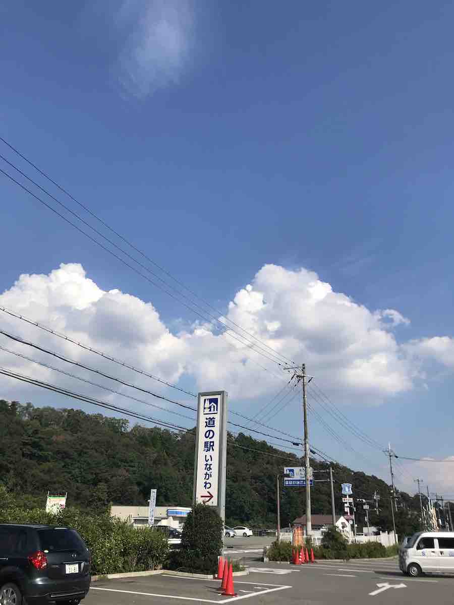 投稿された画像