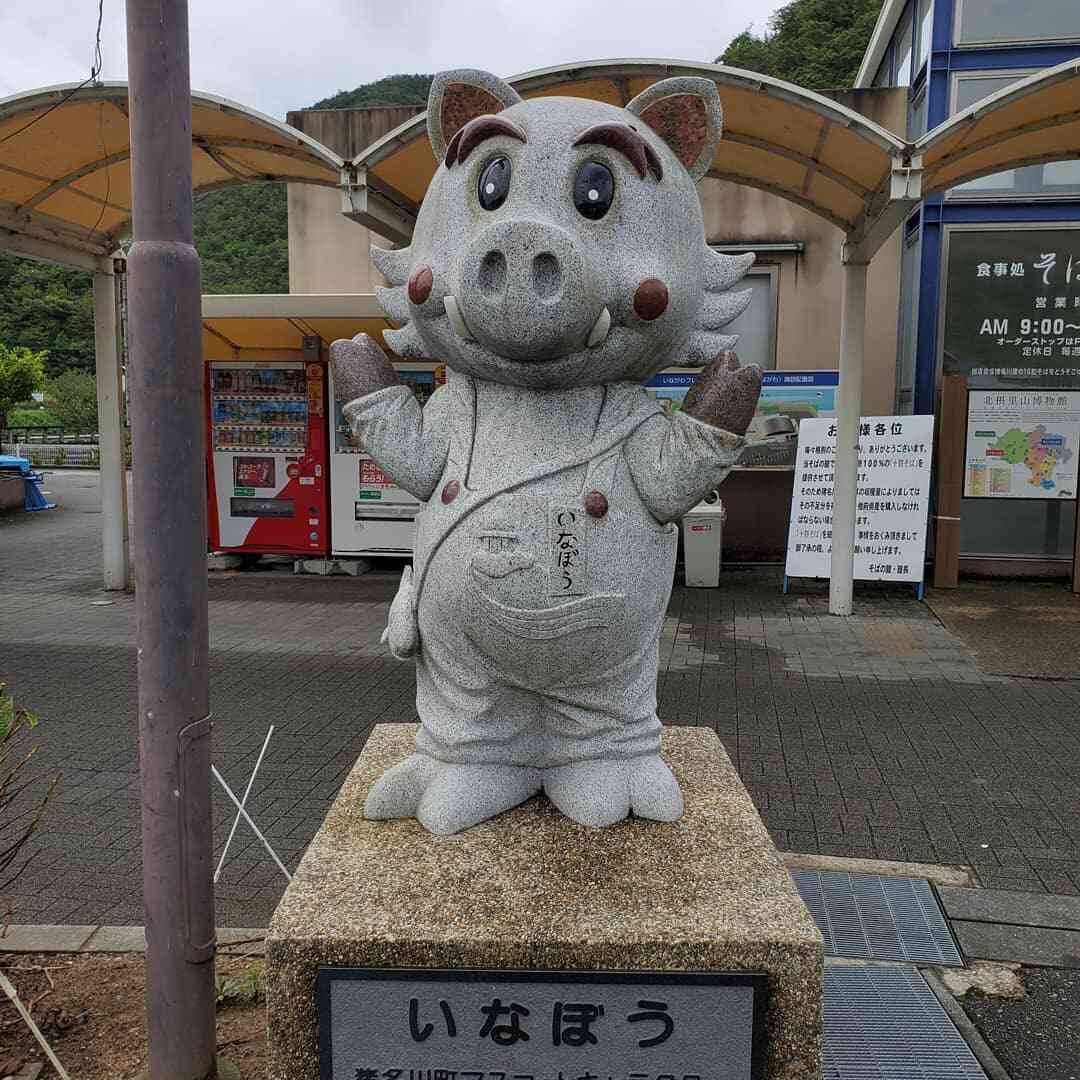 投稿された画像