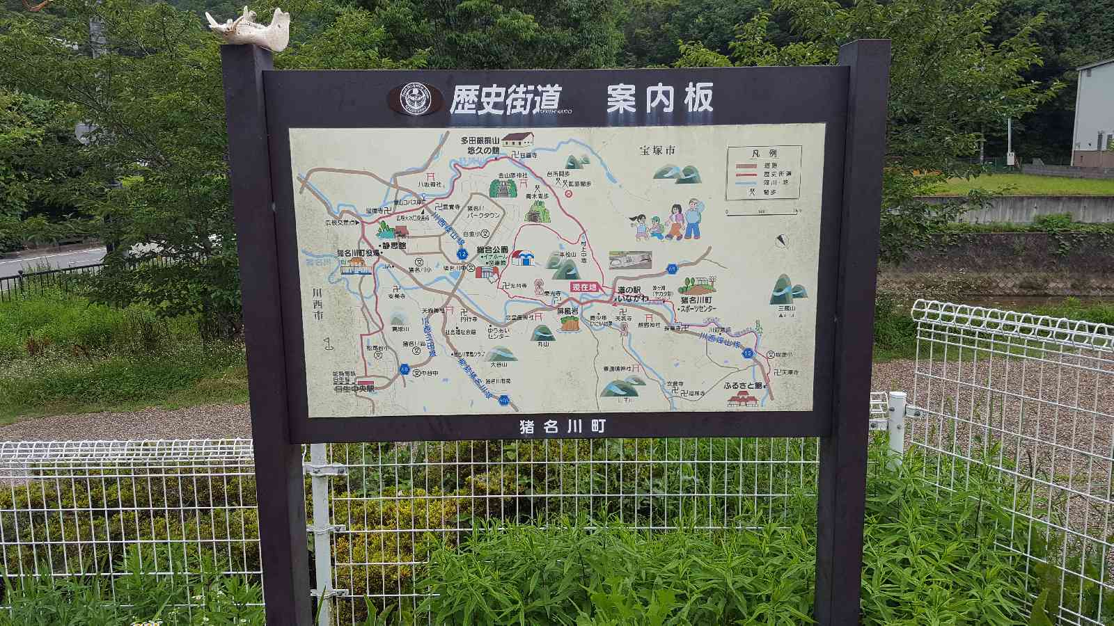 投稿された画像