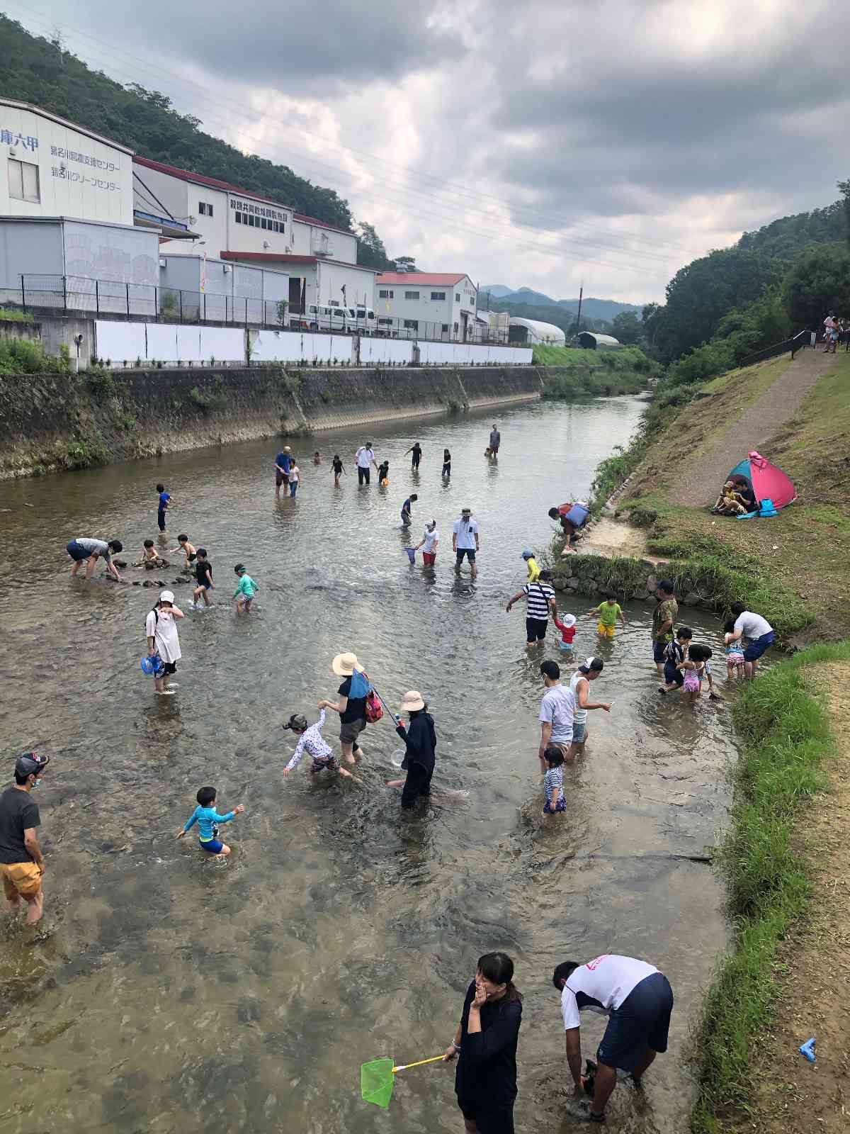 投稿された画像