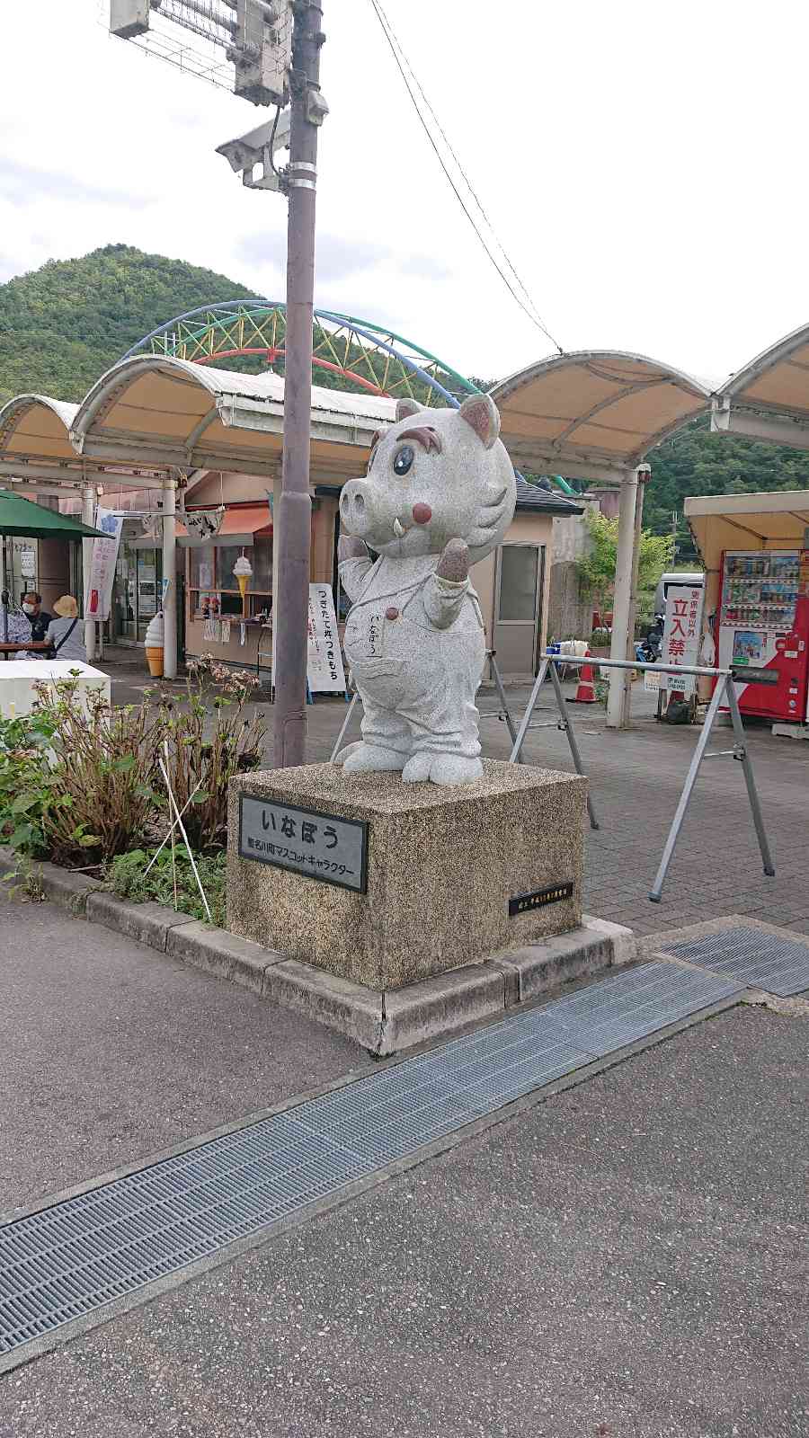 投稿された画像